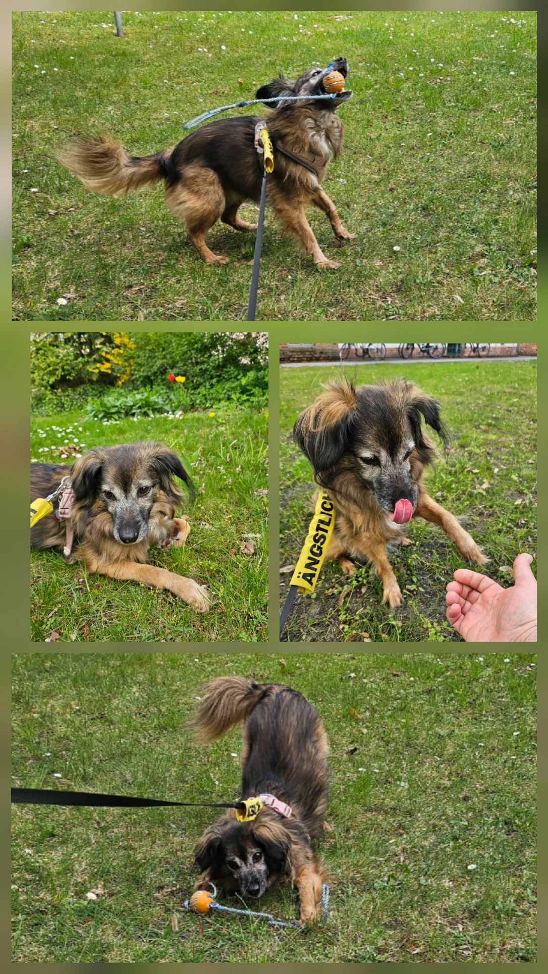 image-21