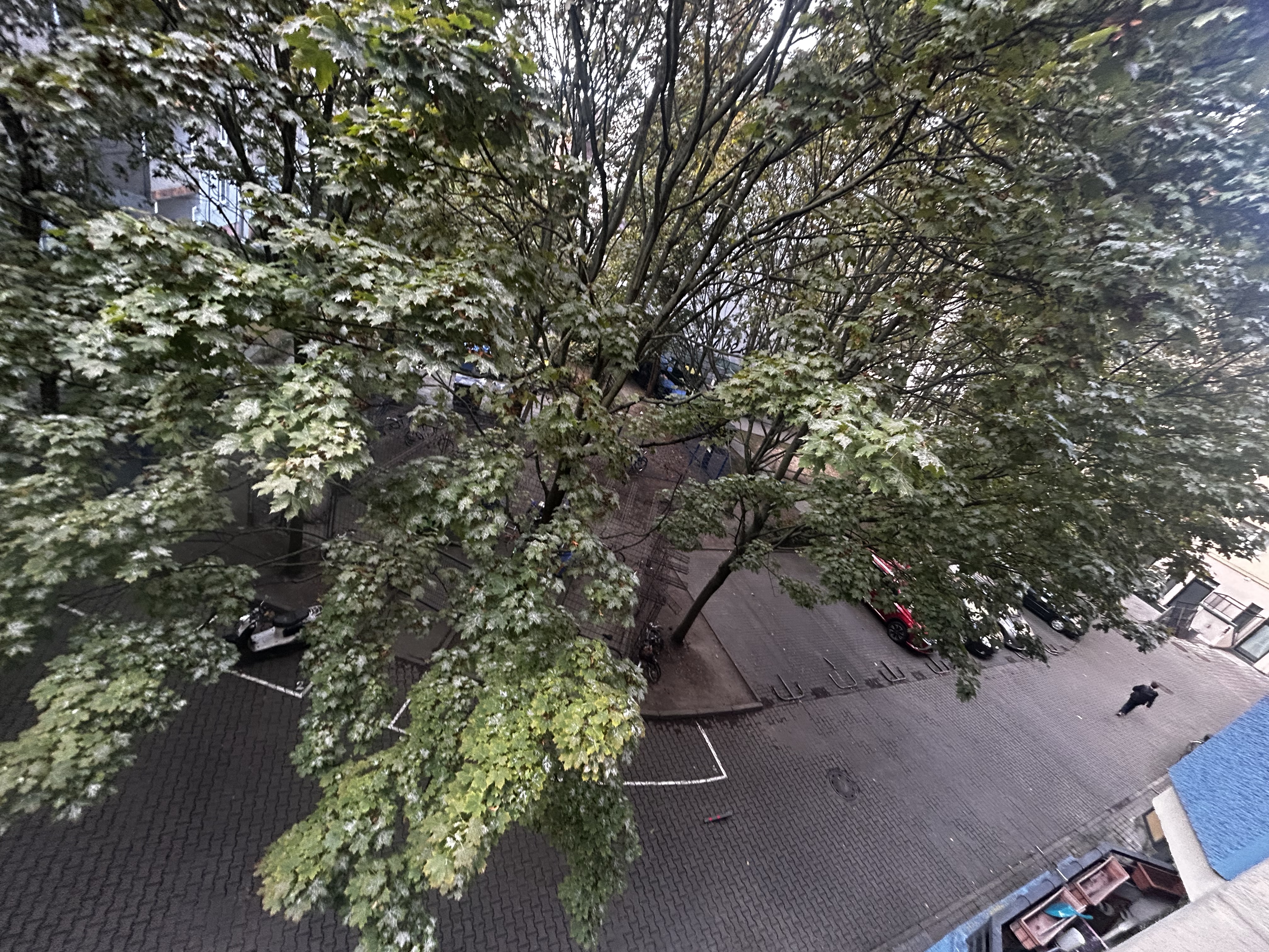 image-5