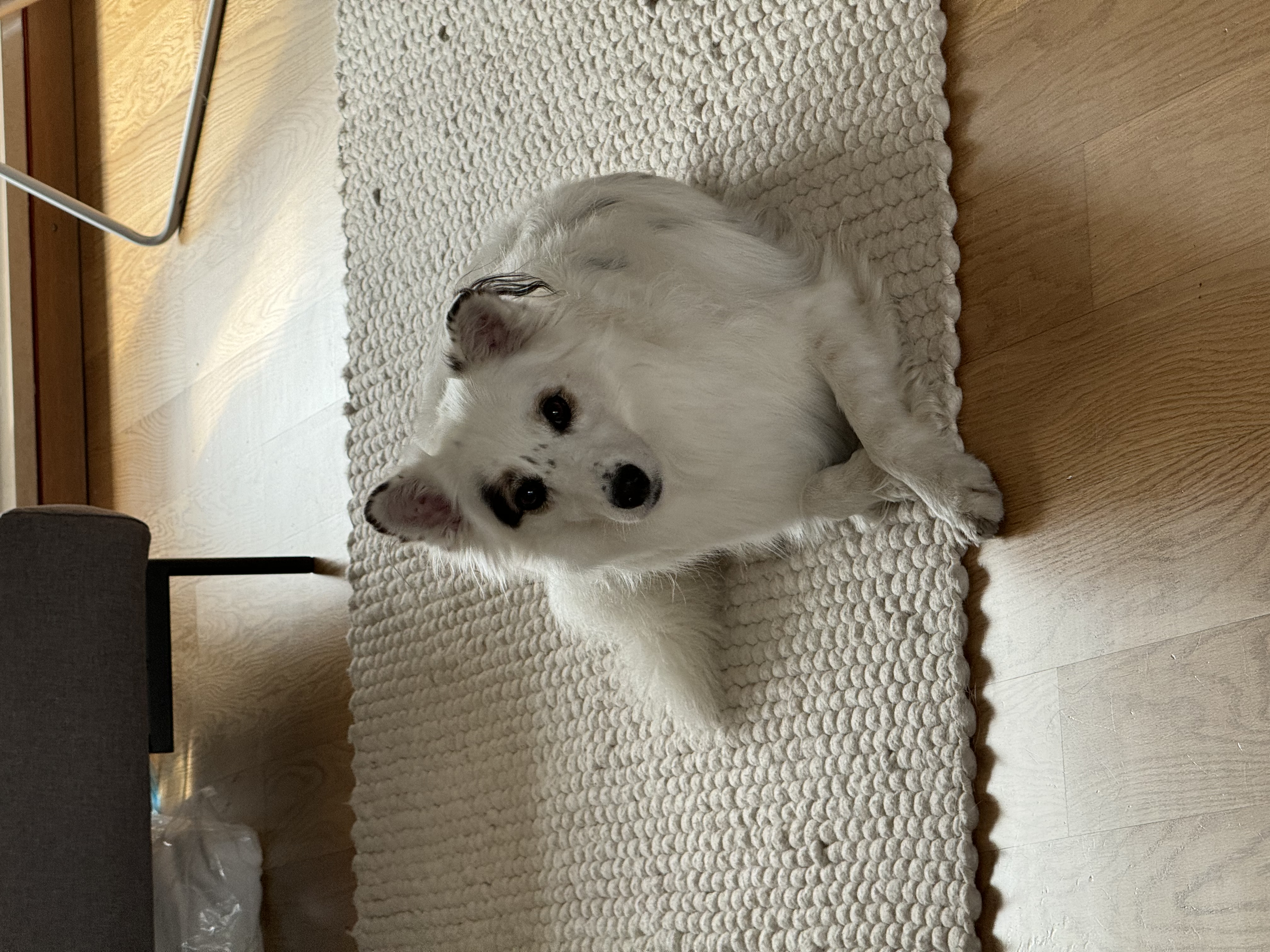 image-28