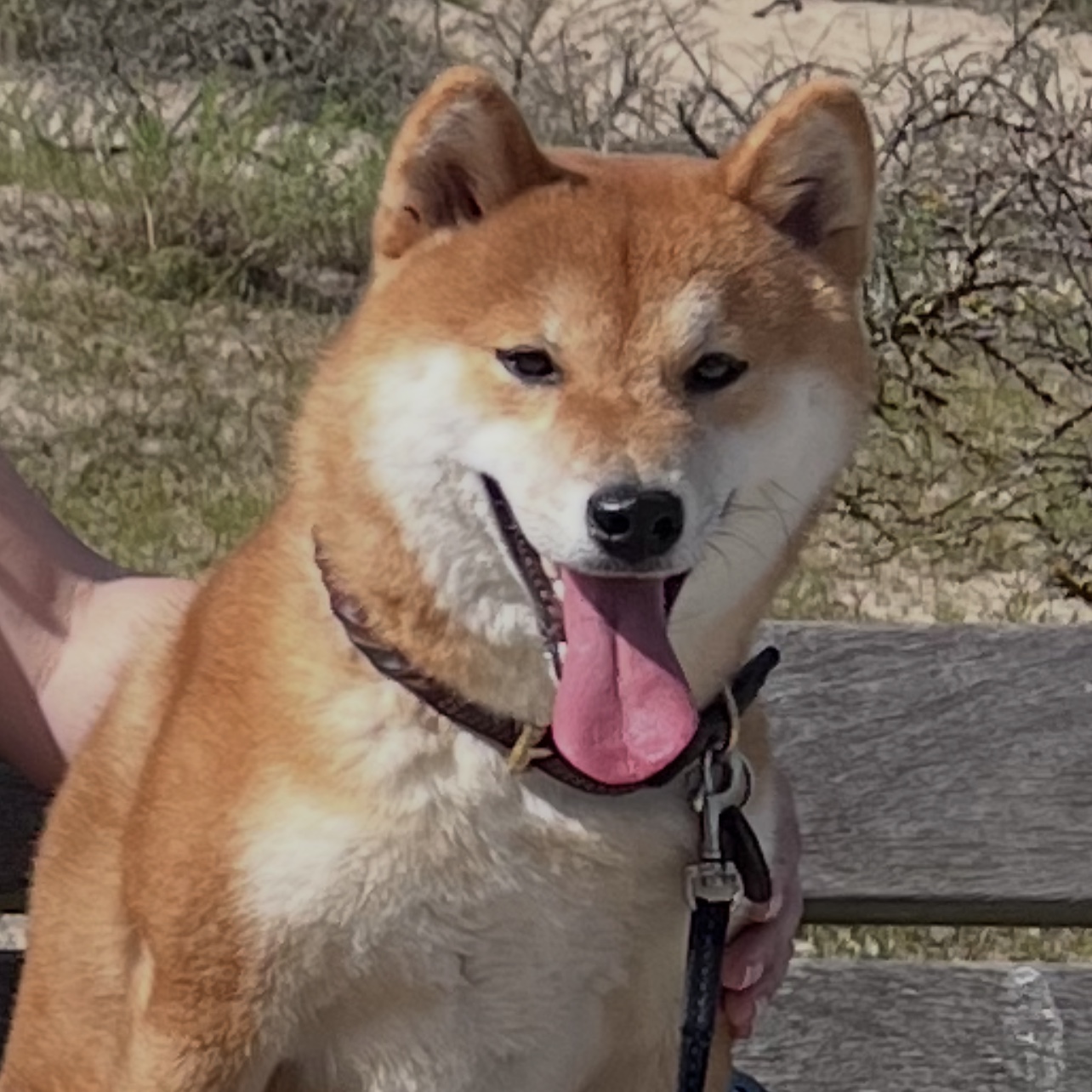 Aika