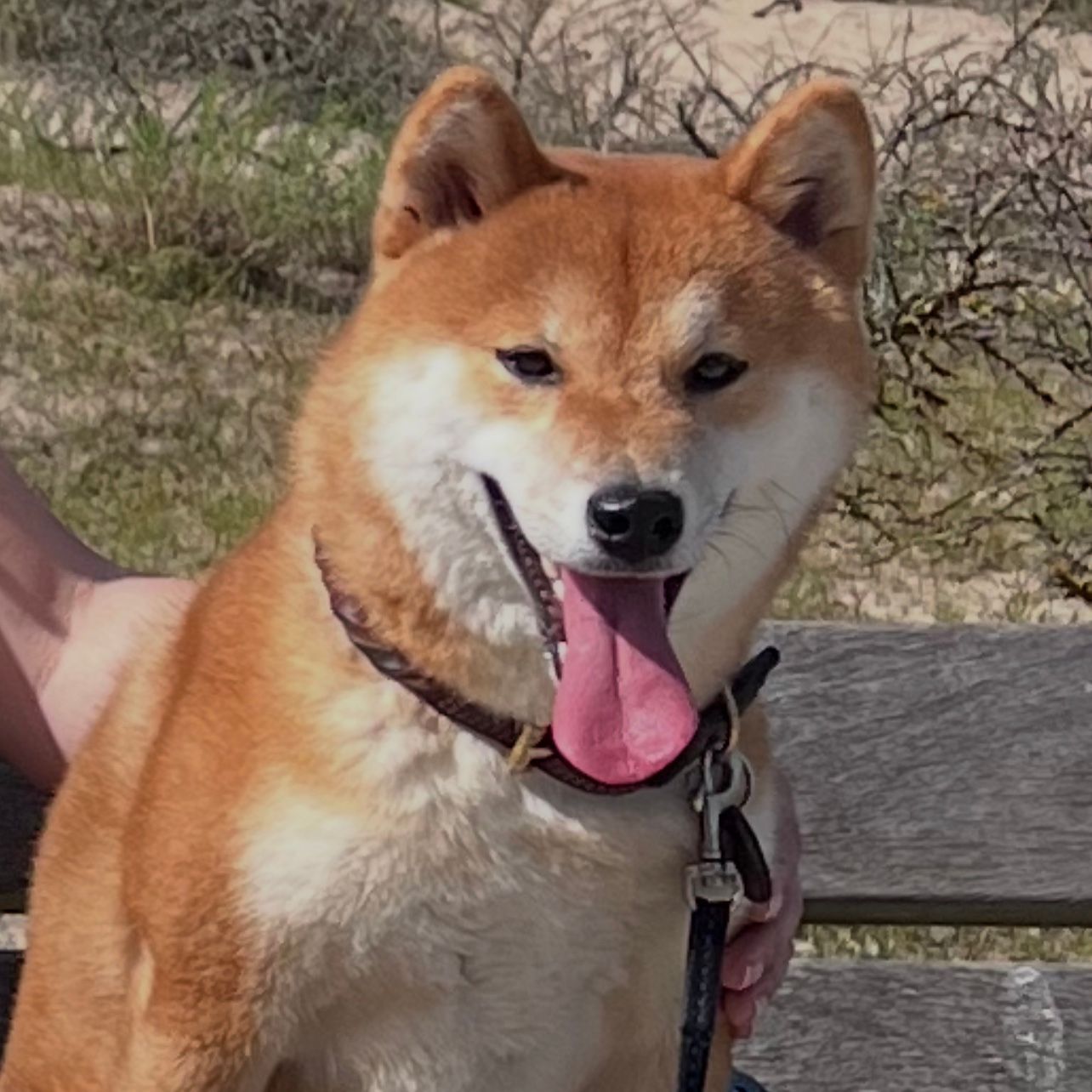 Aika