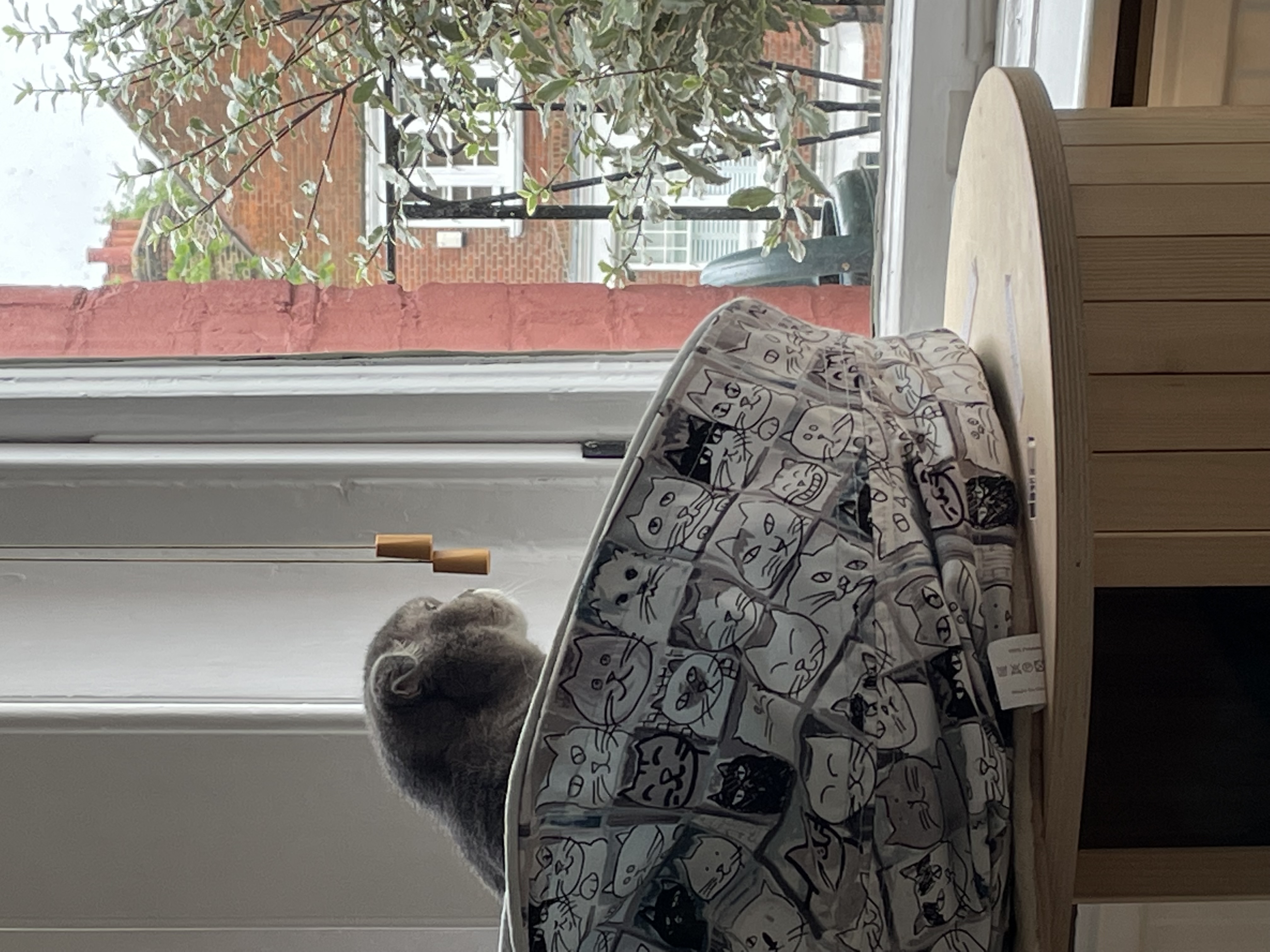image-15