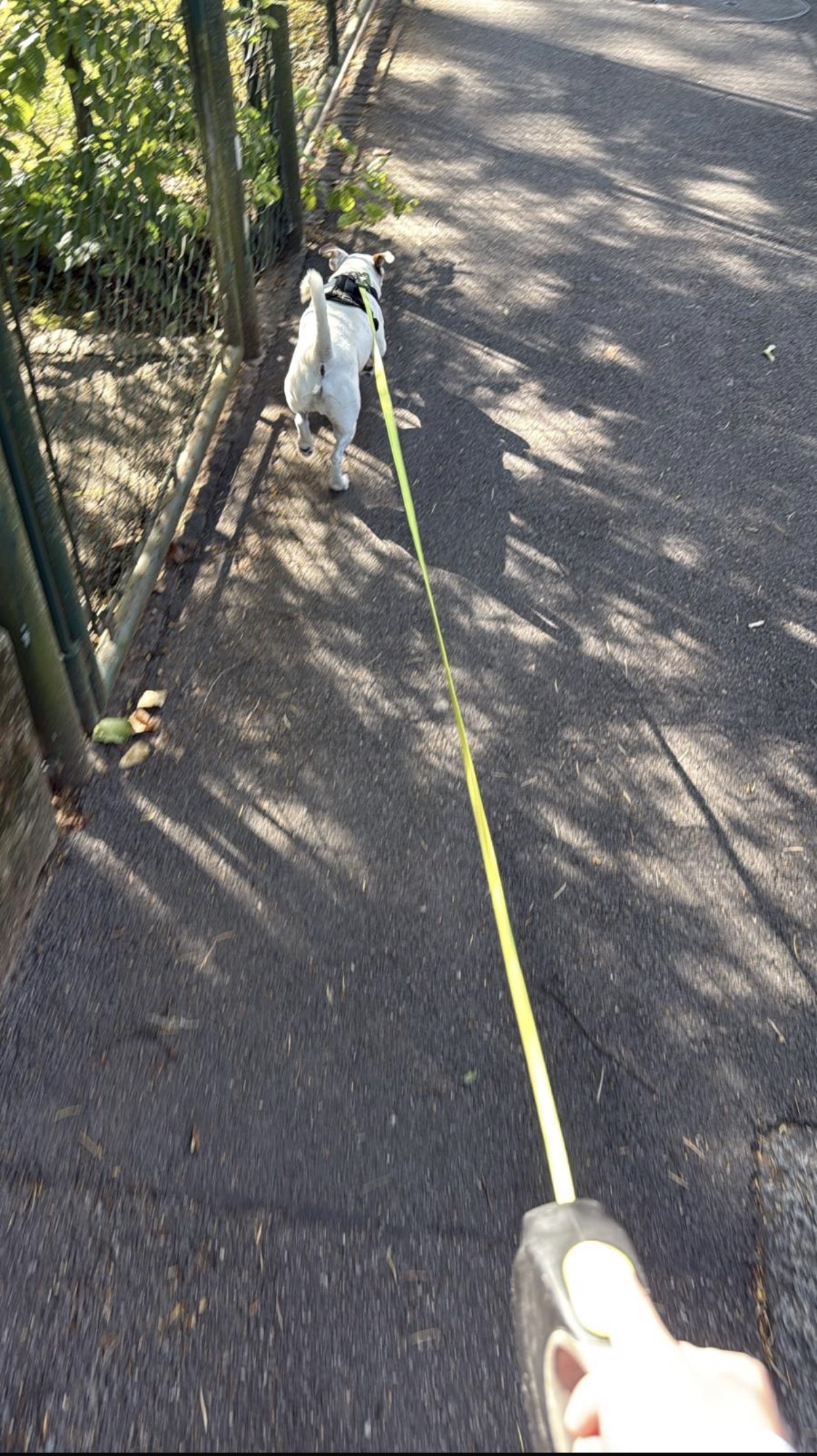image-7
