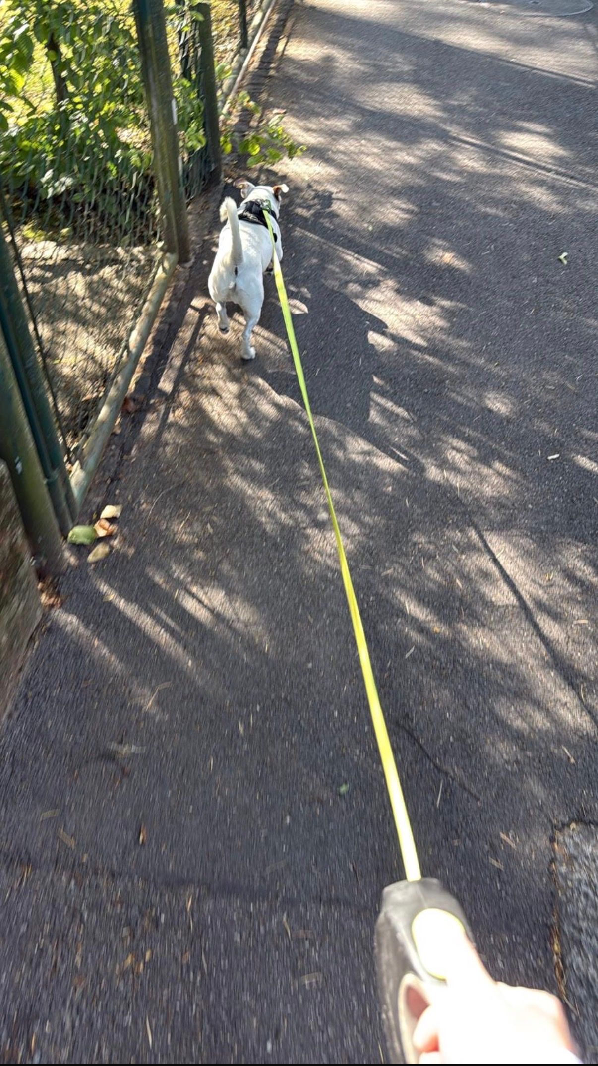image-7