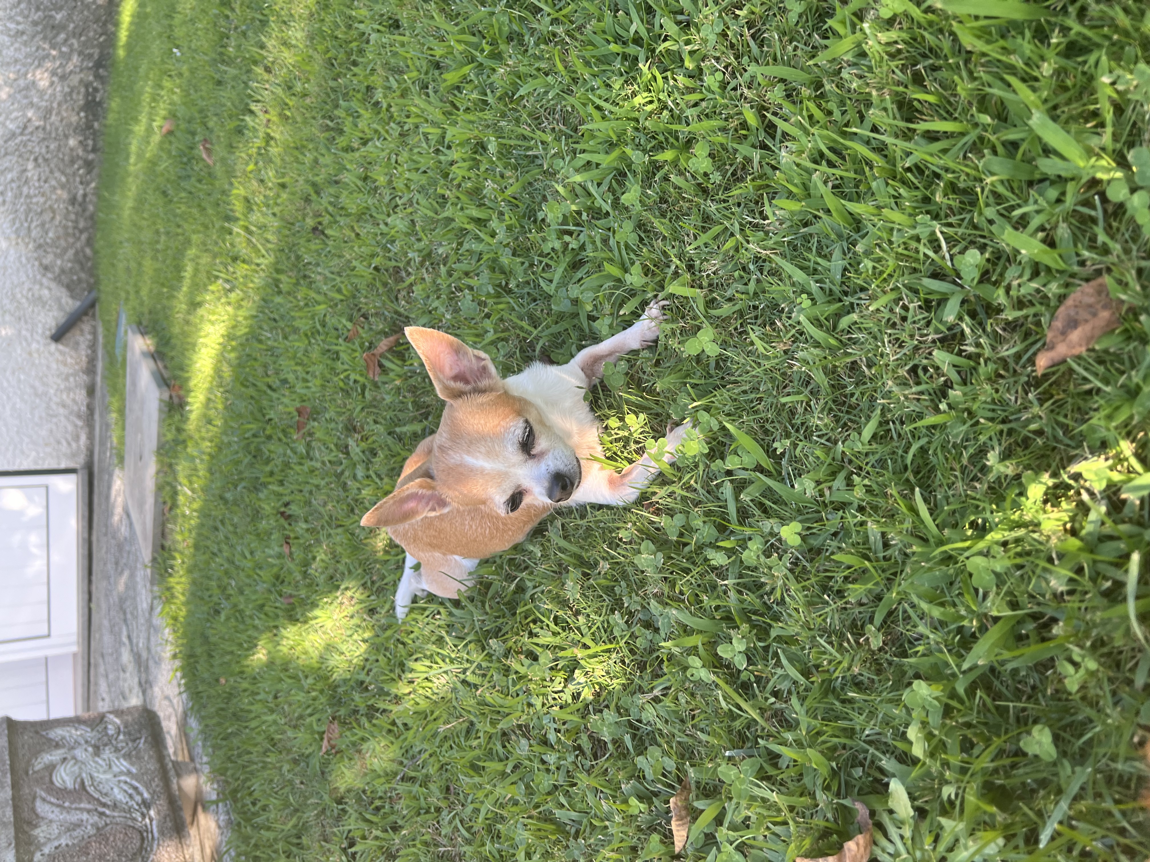 image-8