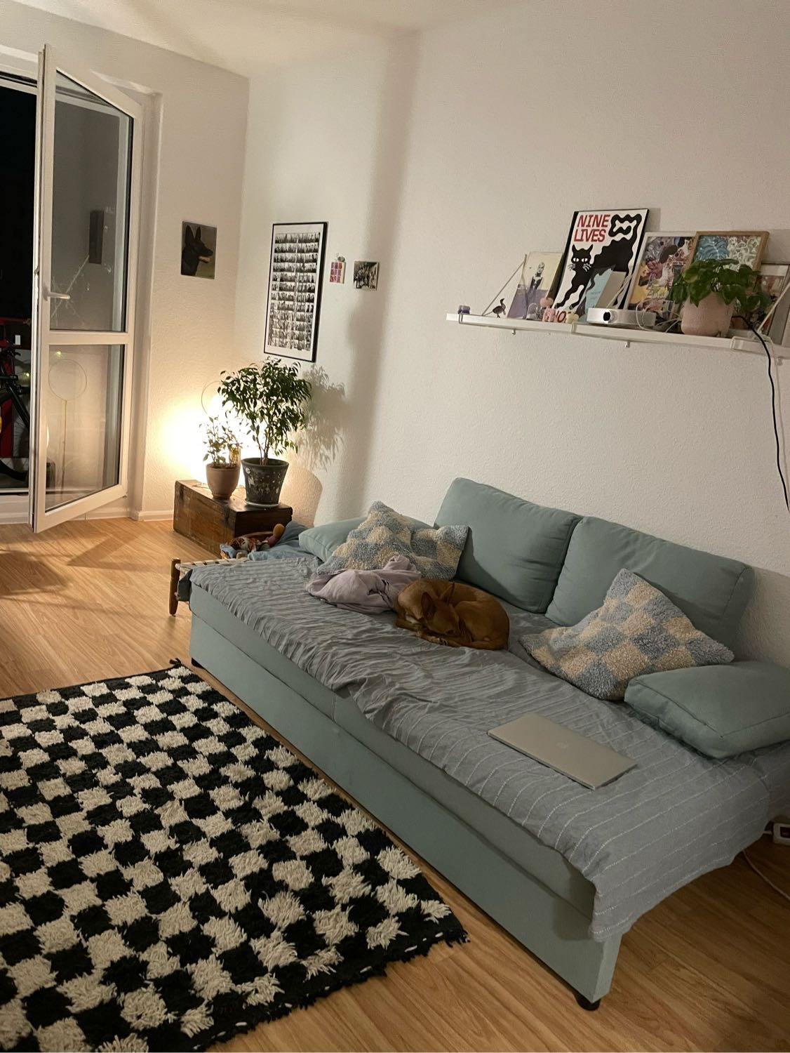 image-10