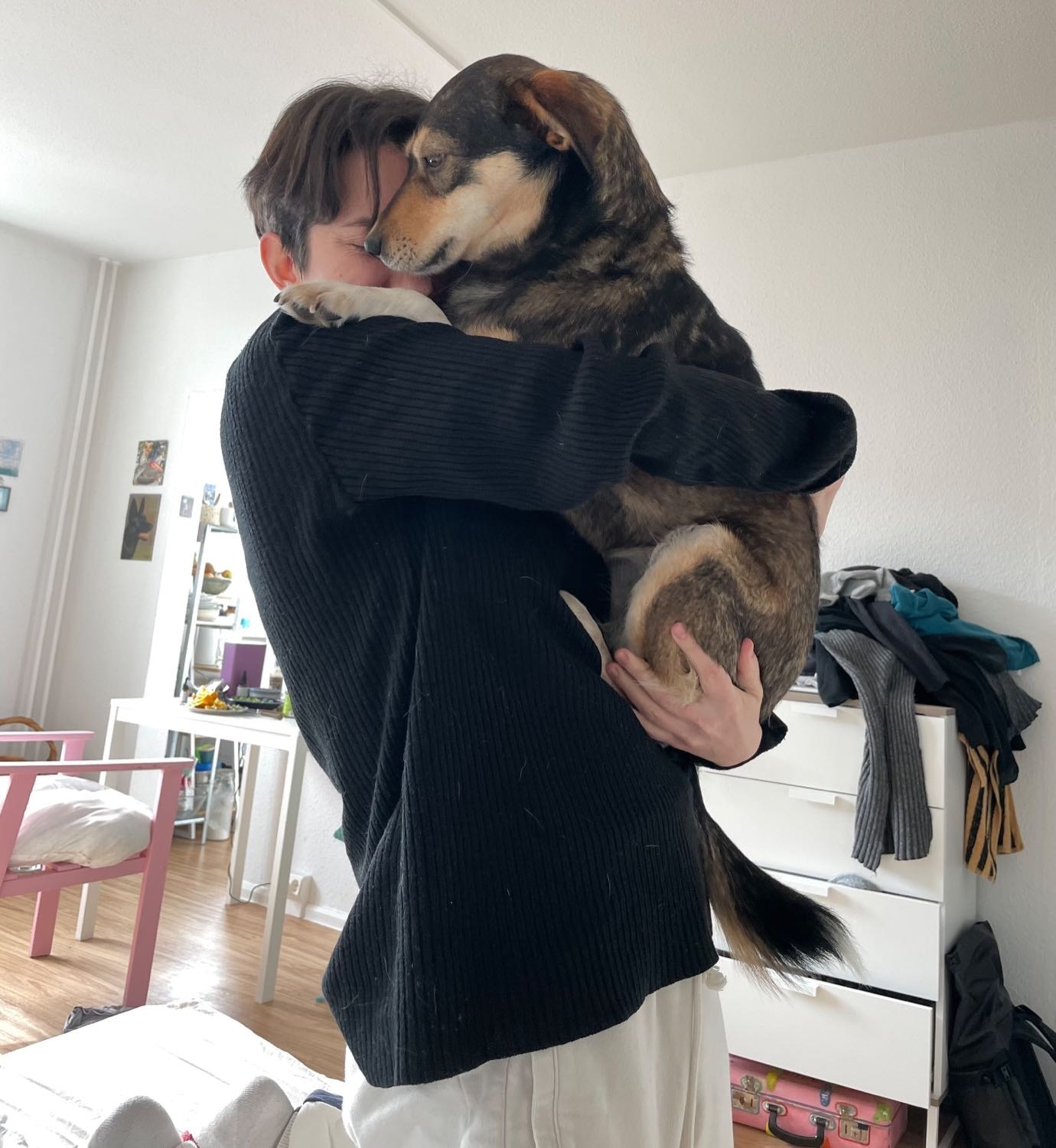 image-6