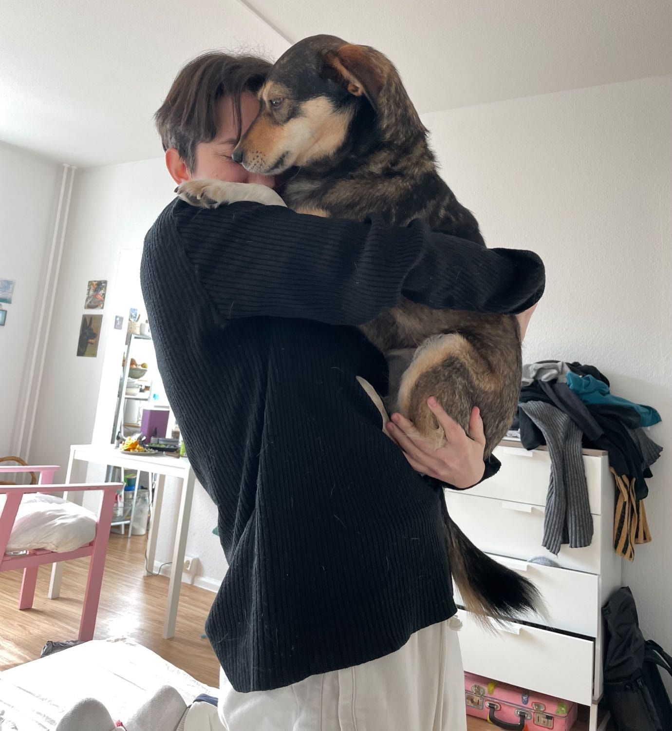 image-6