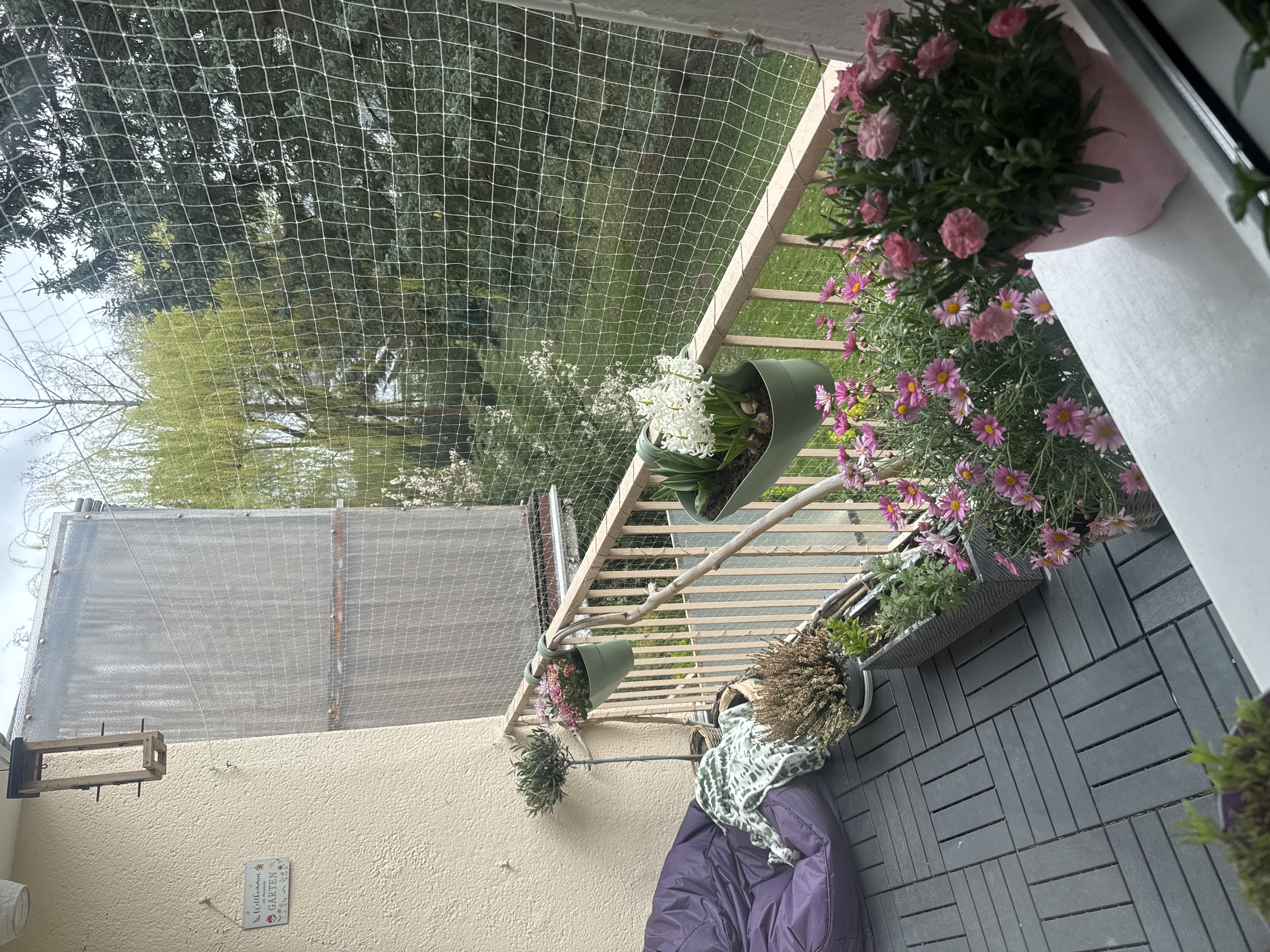 image-24