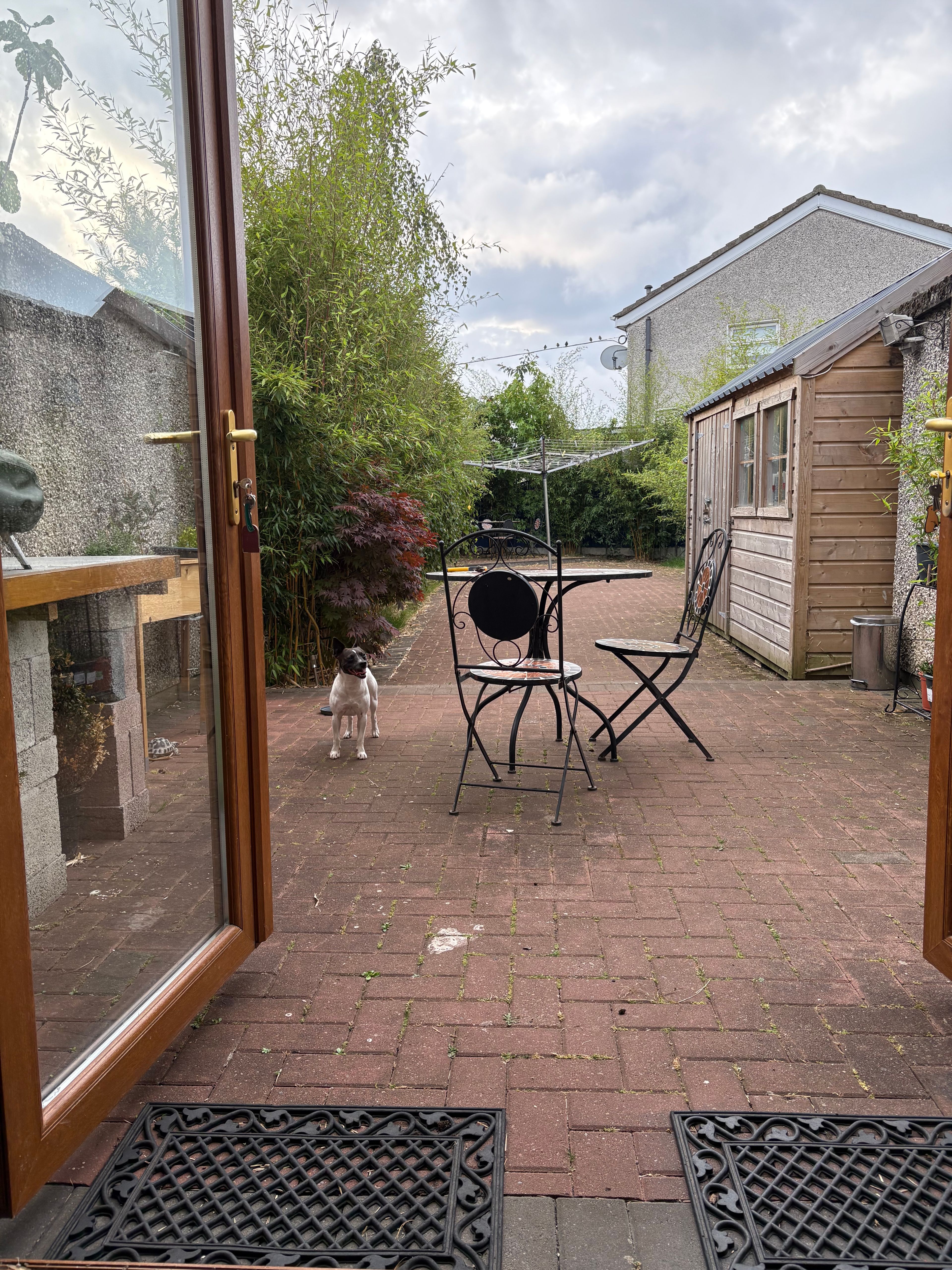 image-14