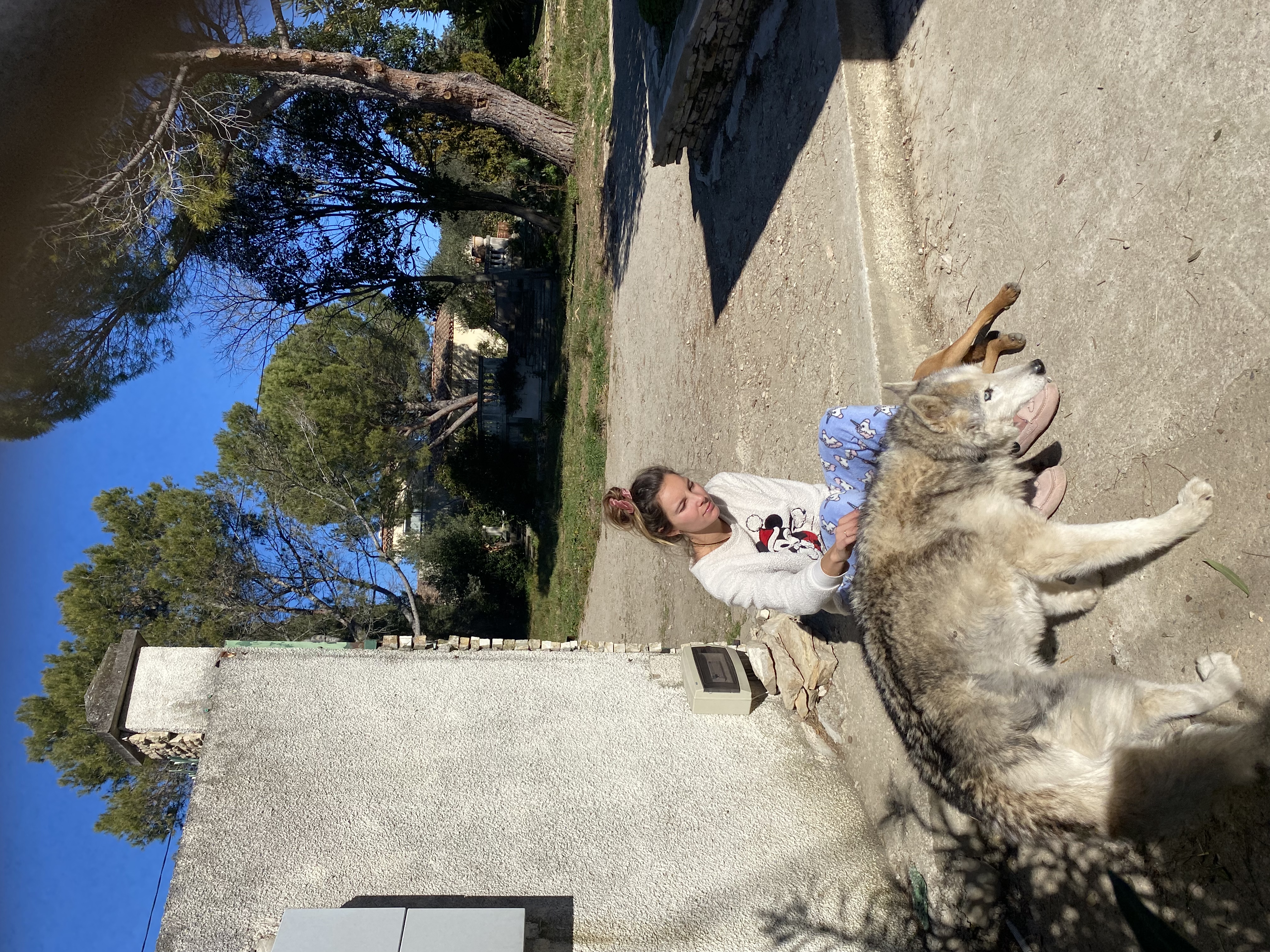 image-7
