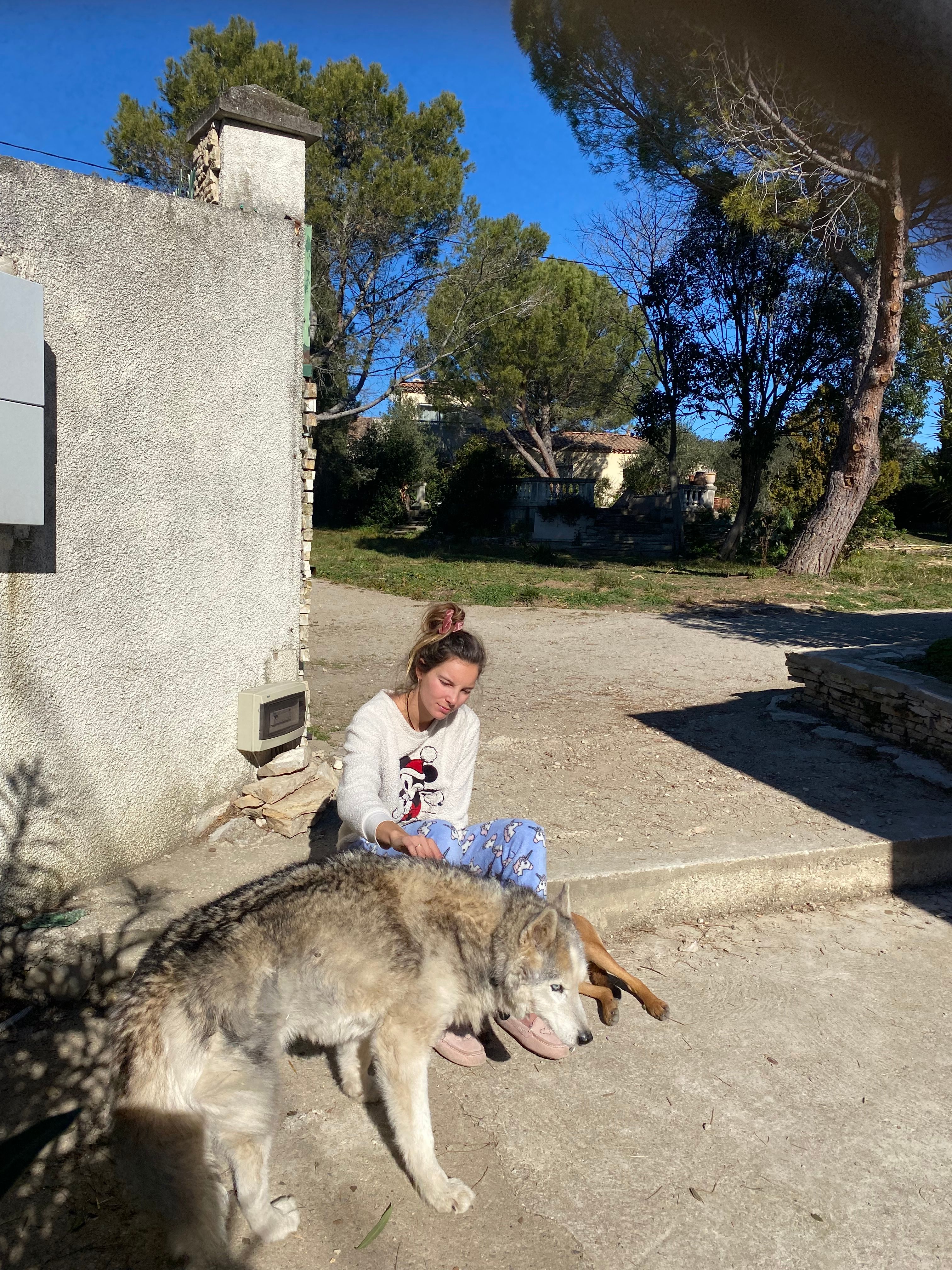 image-7