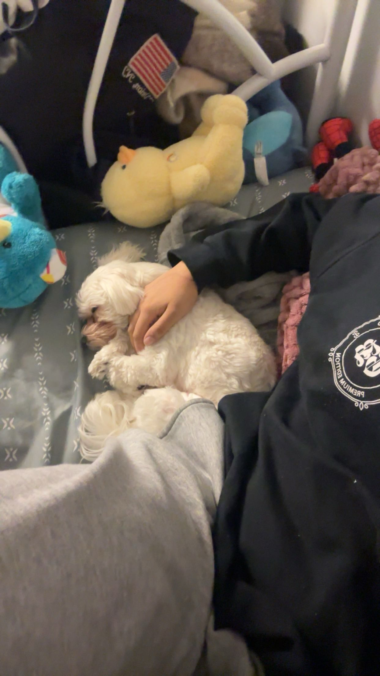 image-9