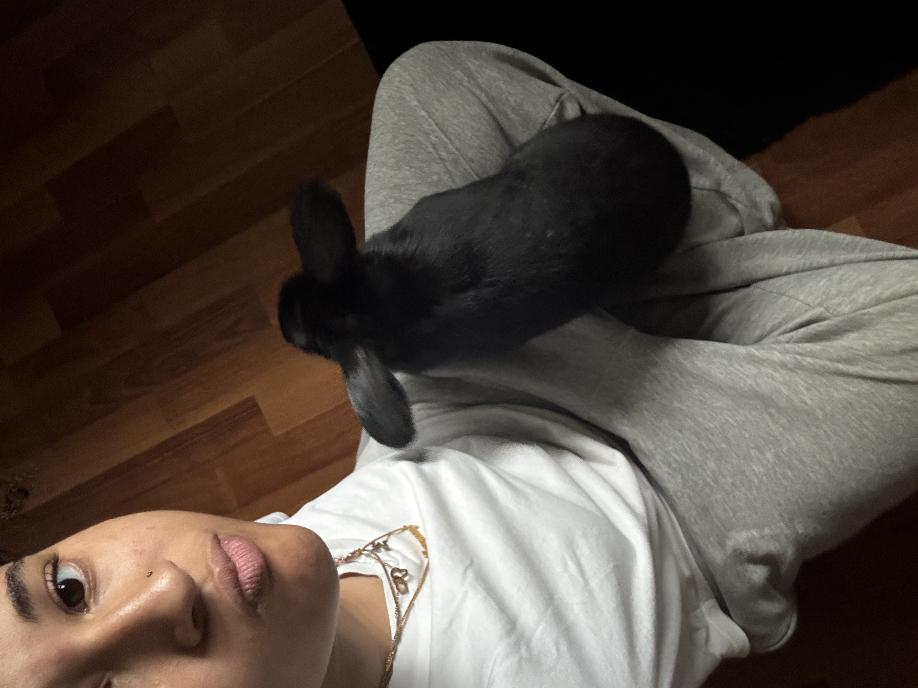 image-11