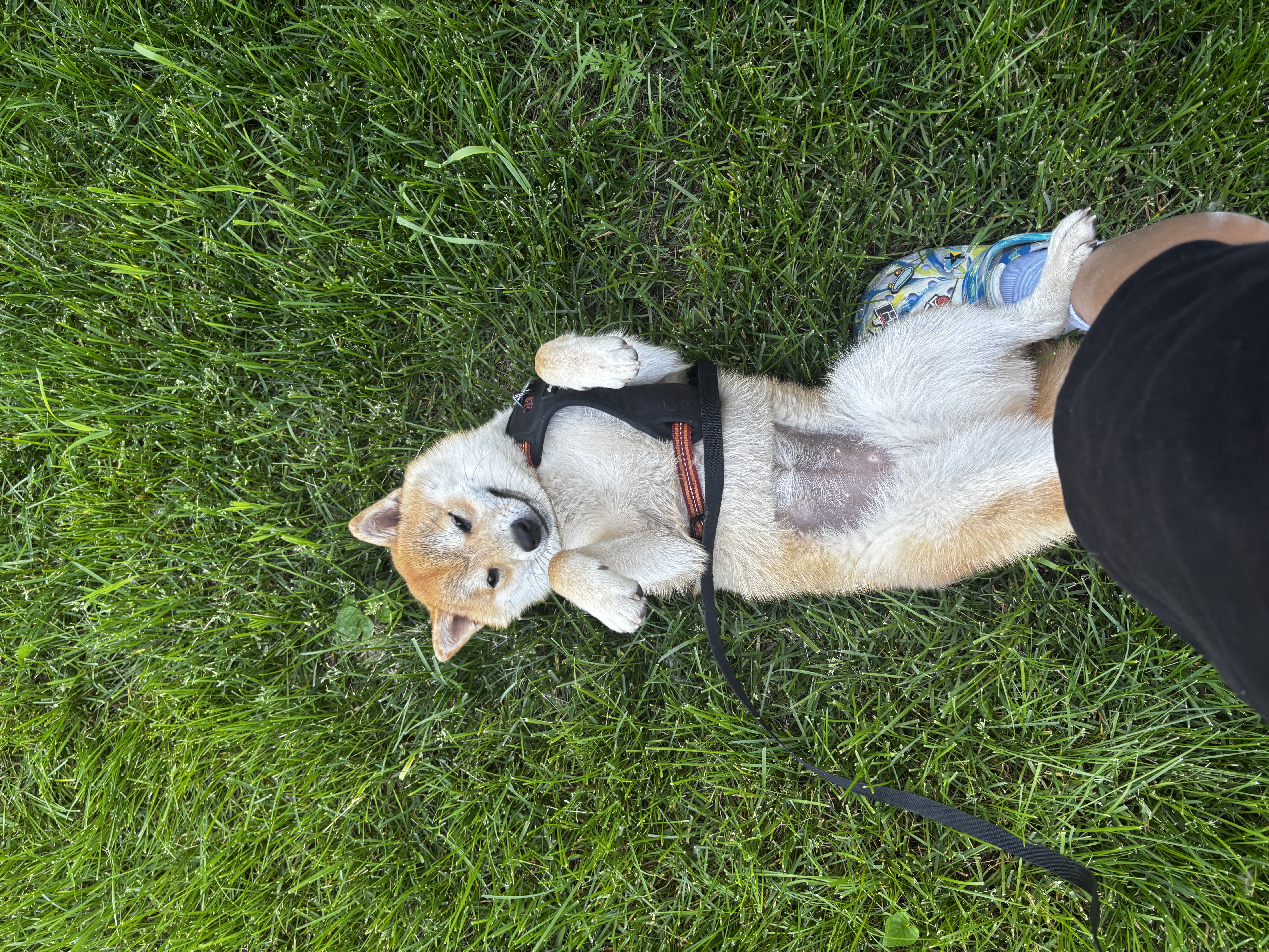 image-6