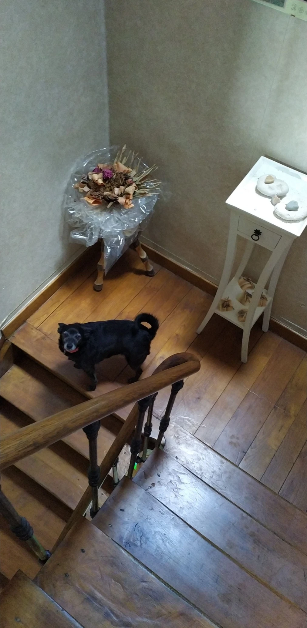 image-9