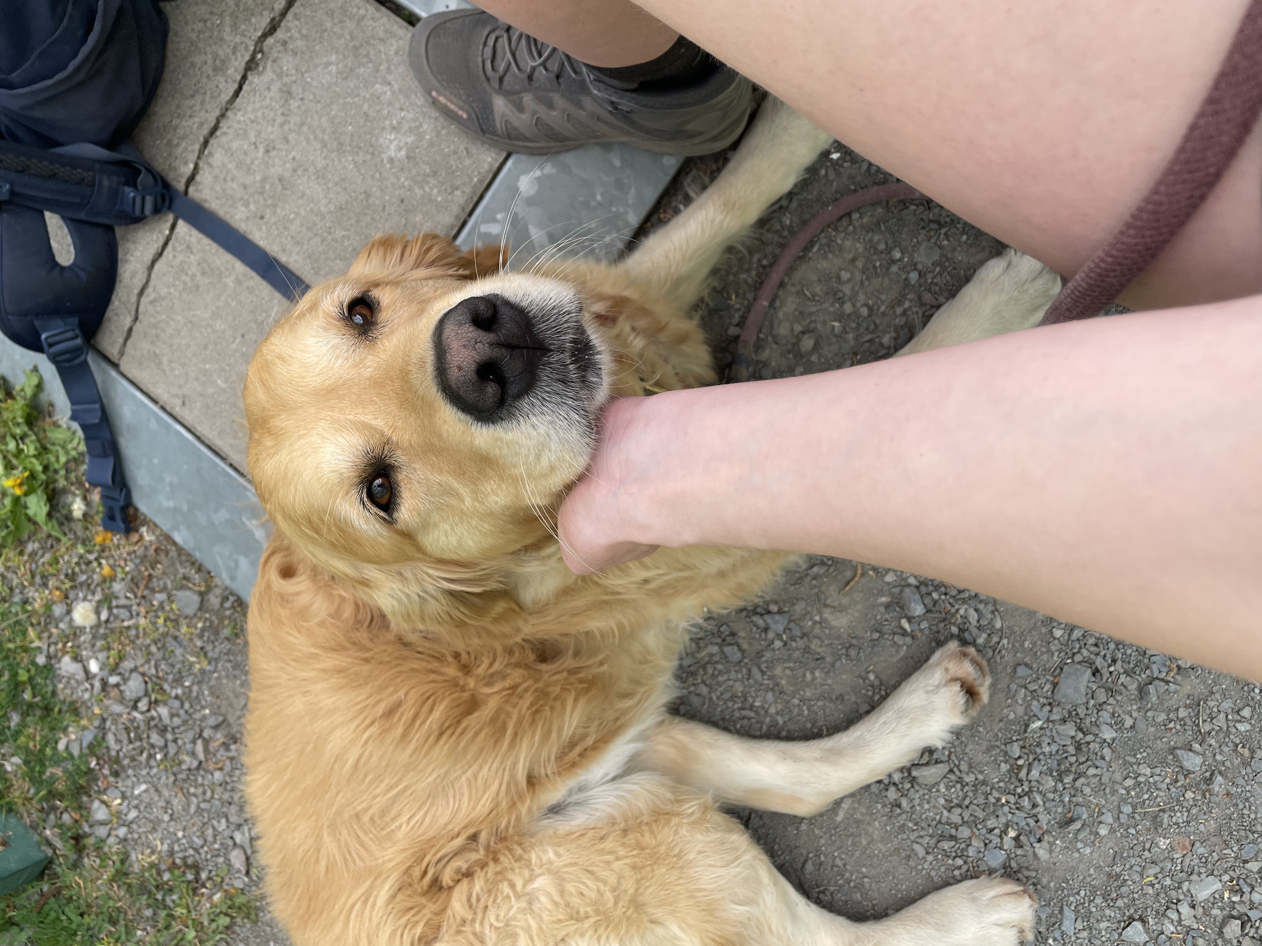 image-8