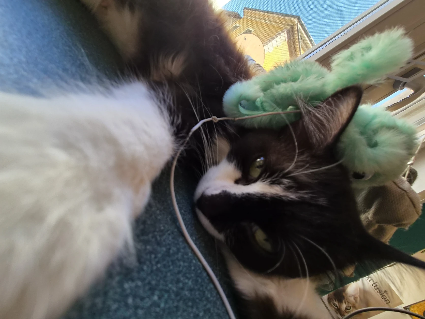 image-5