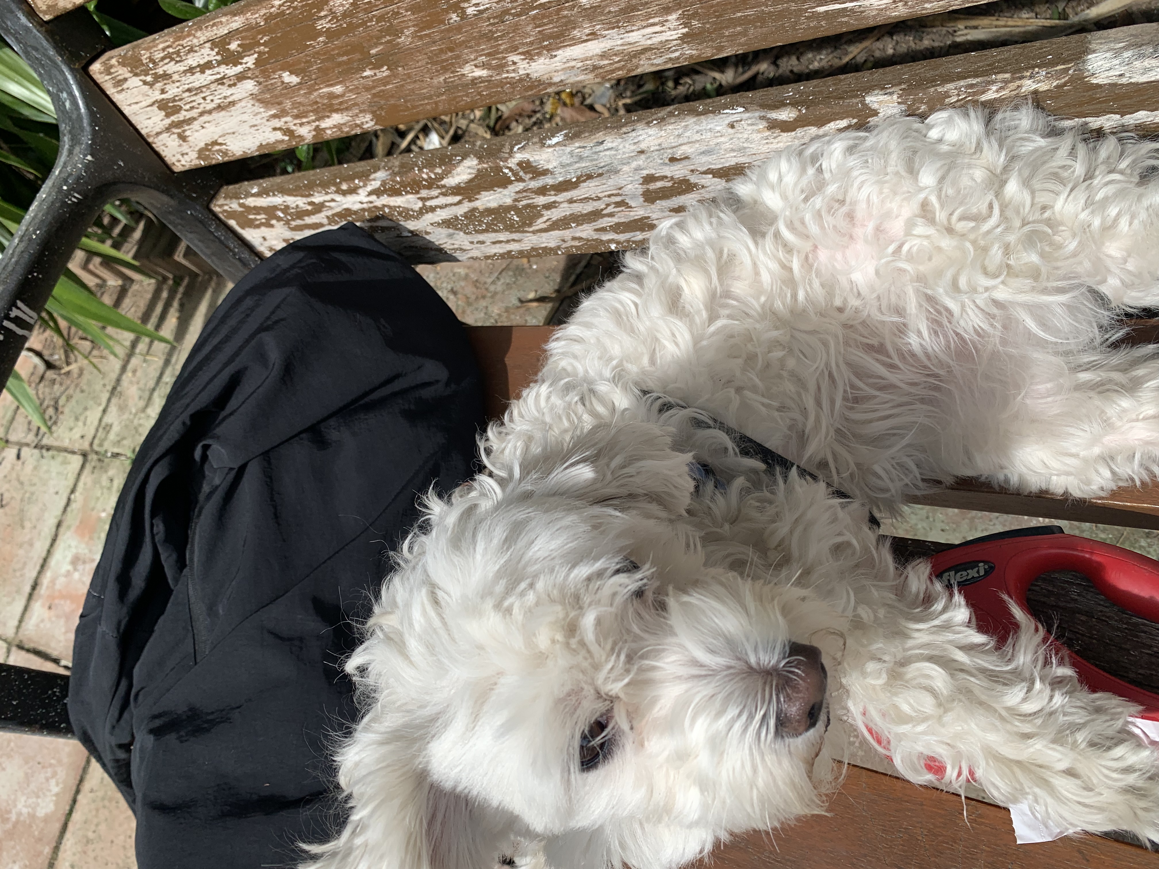 image-11