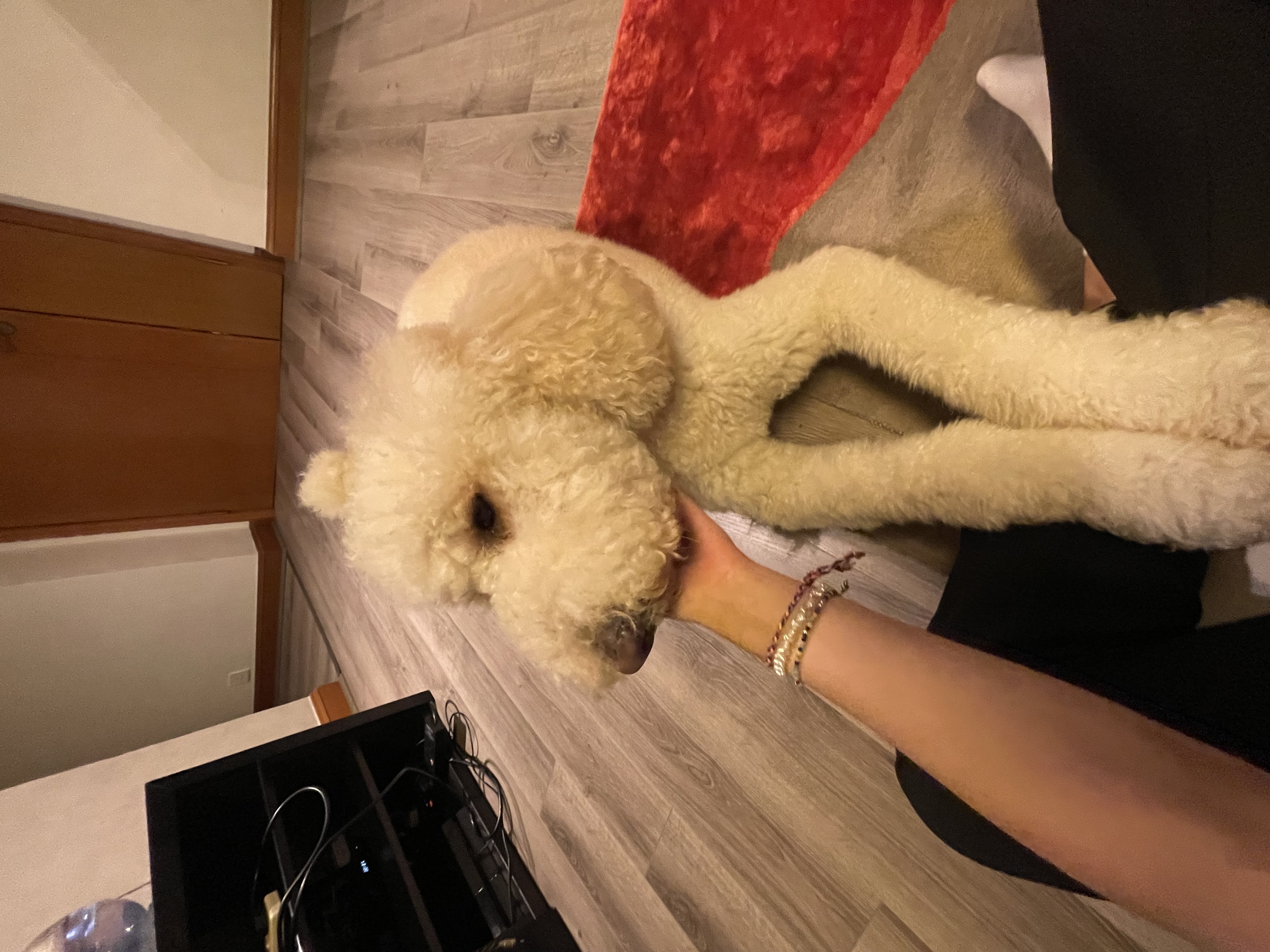 image-6
