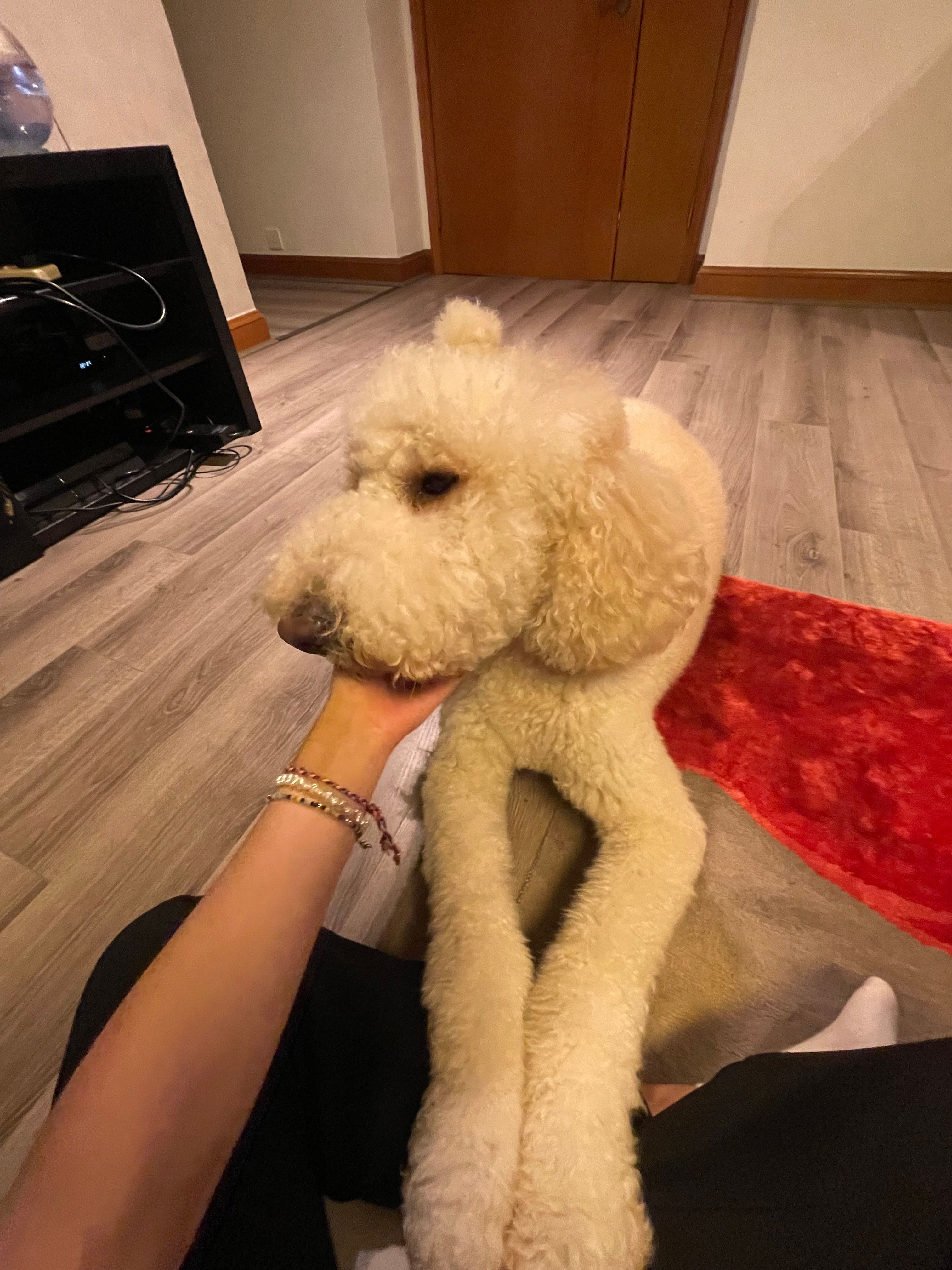 image-6