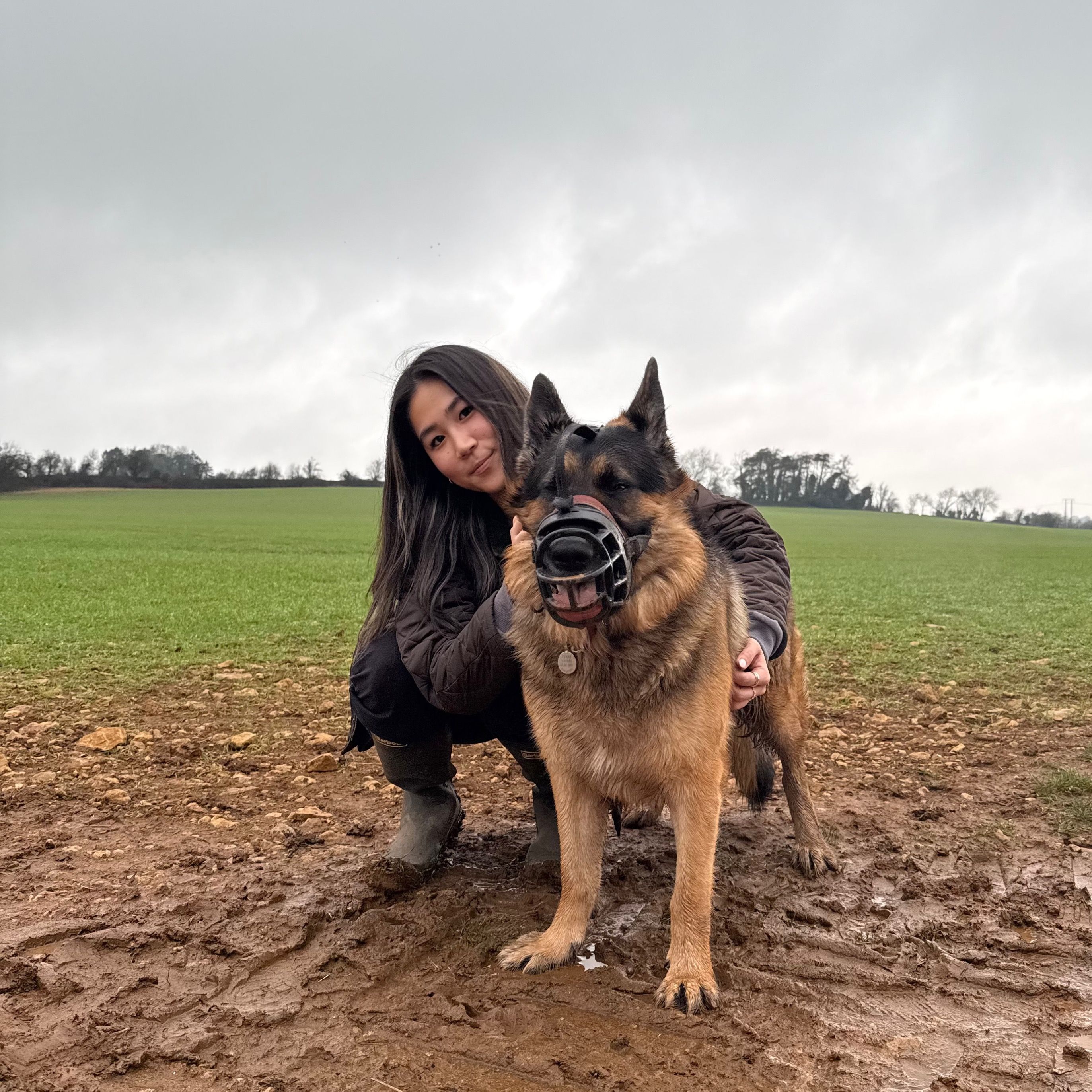 Iryl
