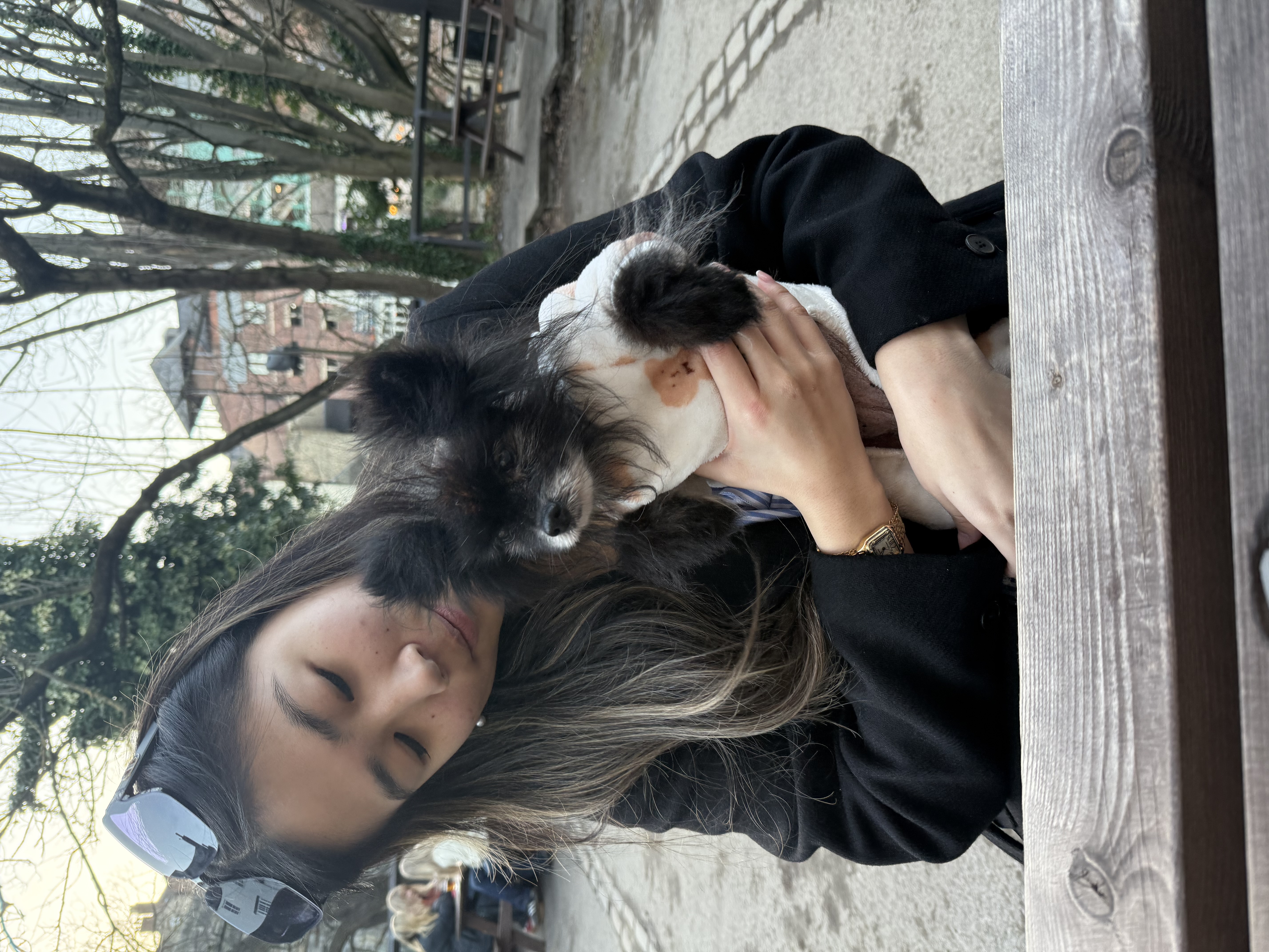 image-4