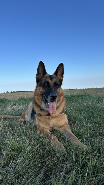 image-6