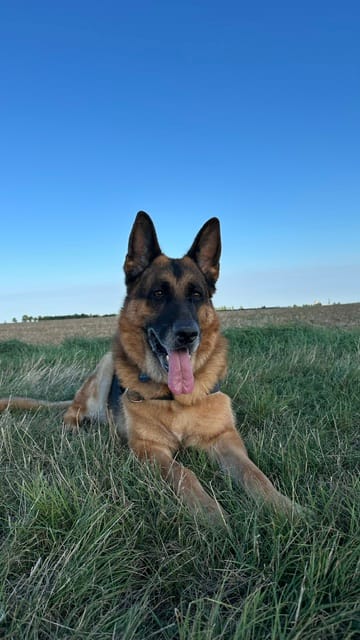 image-6
