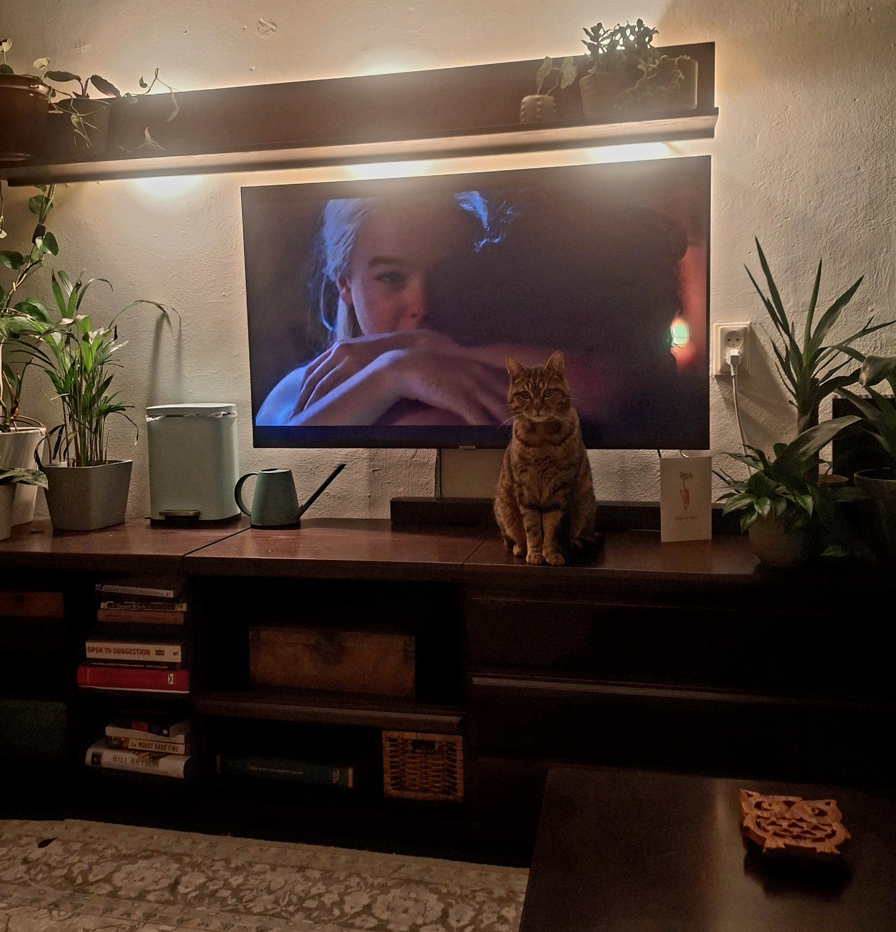 image-9