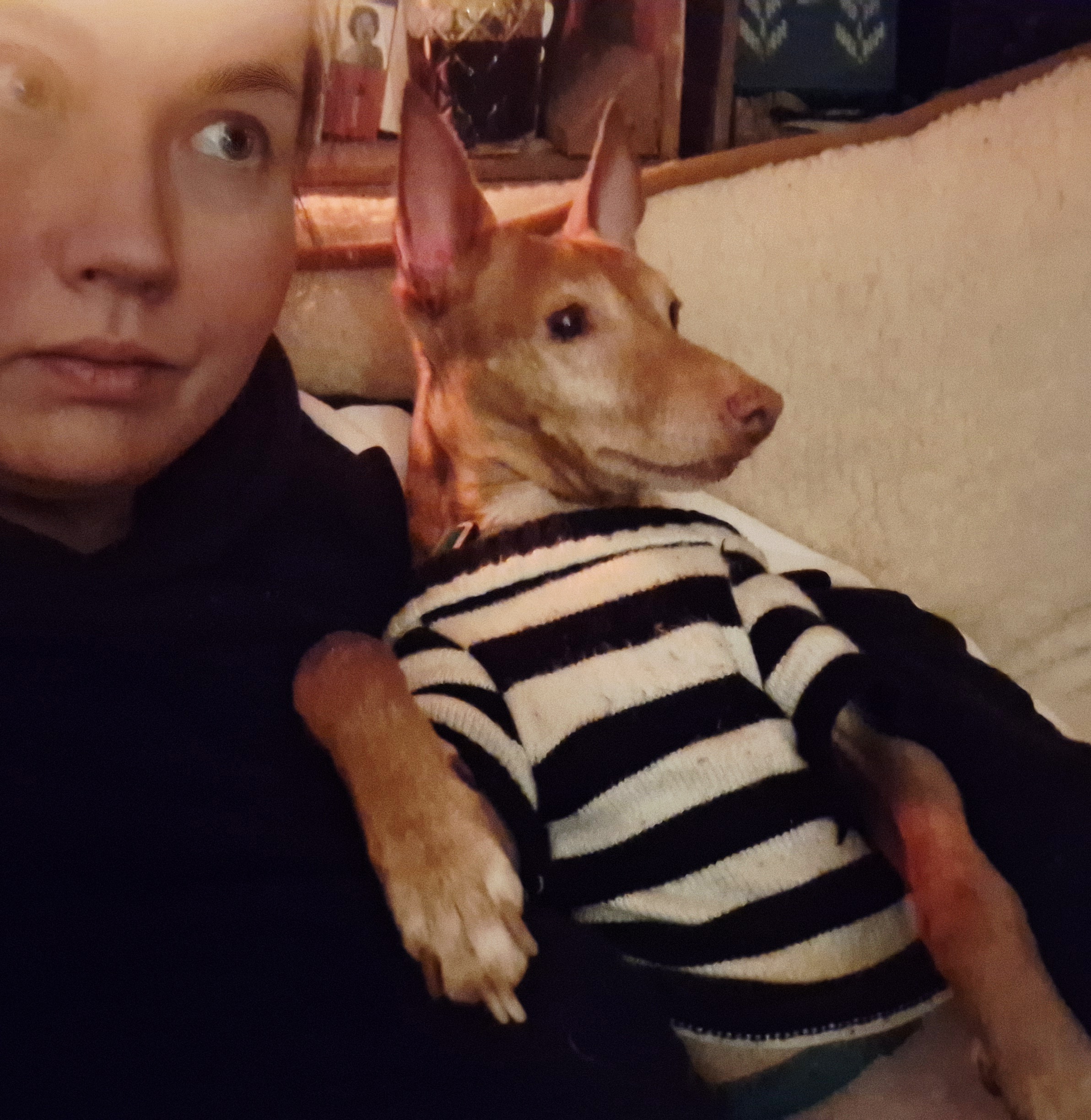 image-6