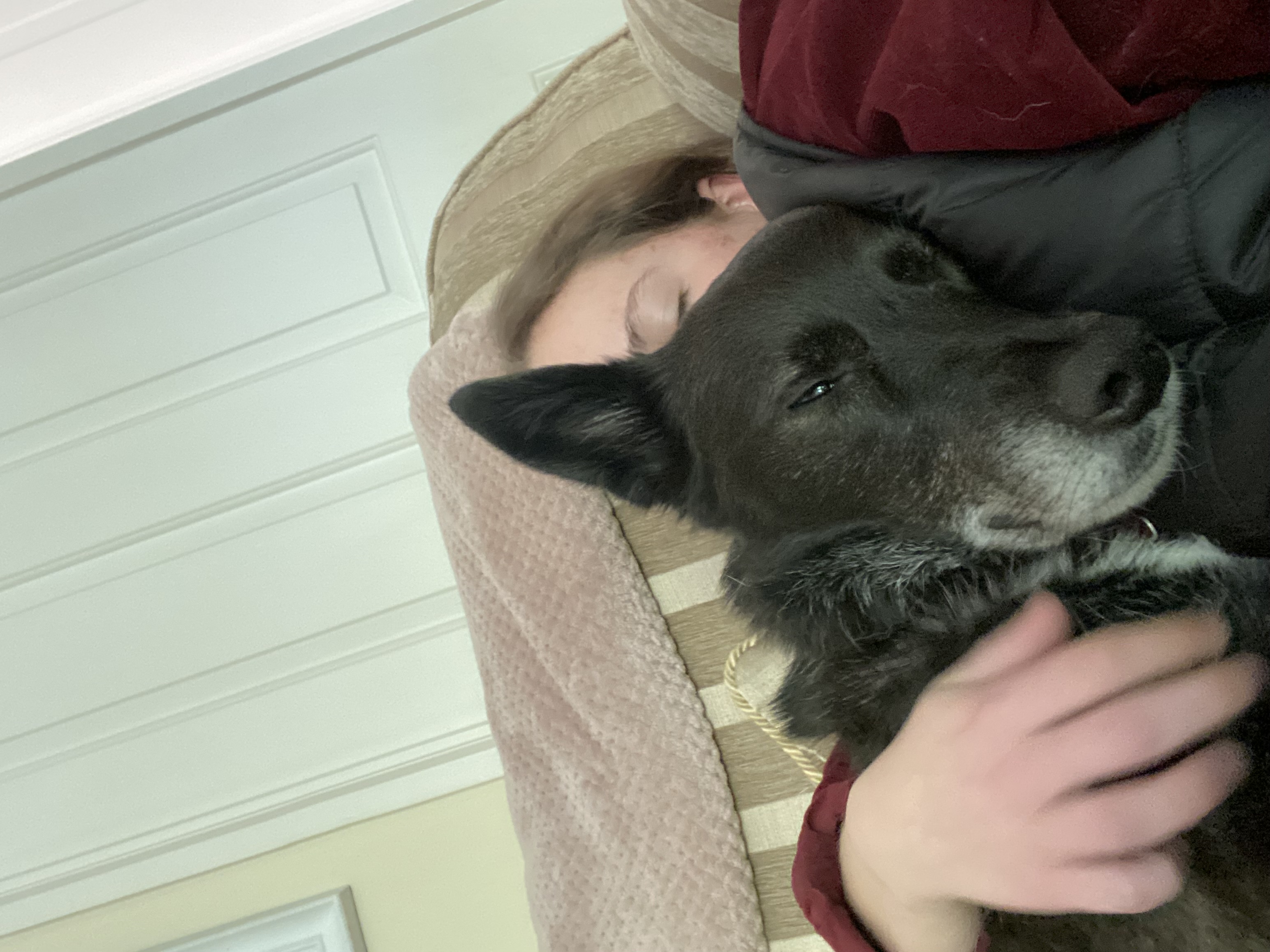 image-11