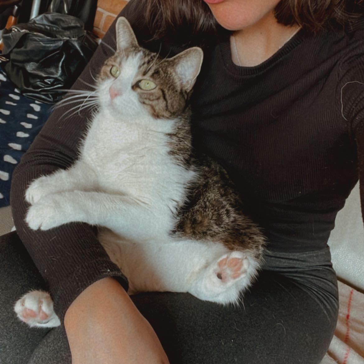 Penelope 