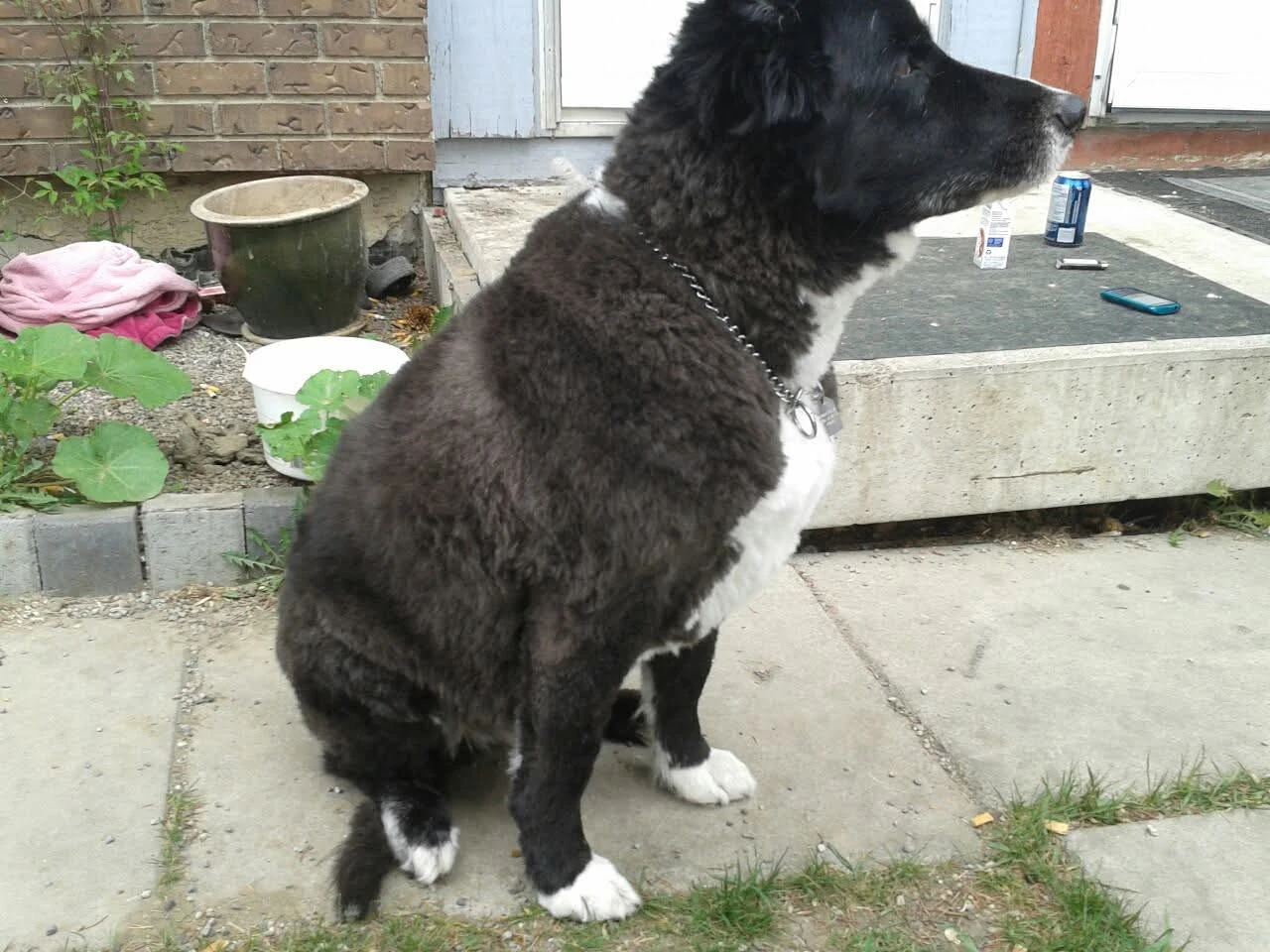 image-9