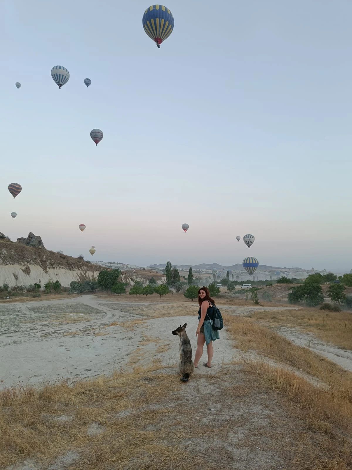image-10