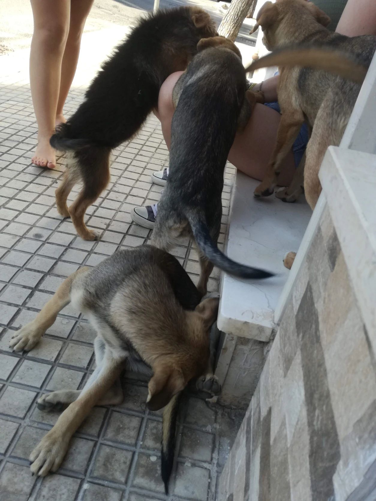 image-12