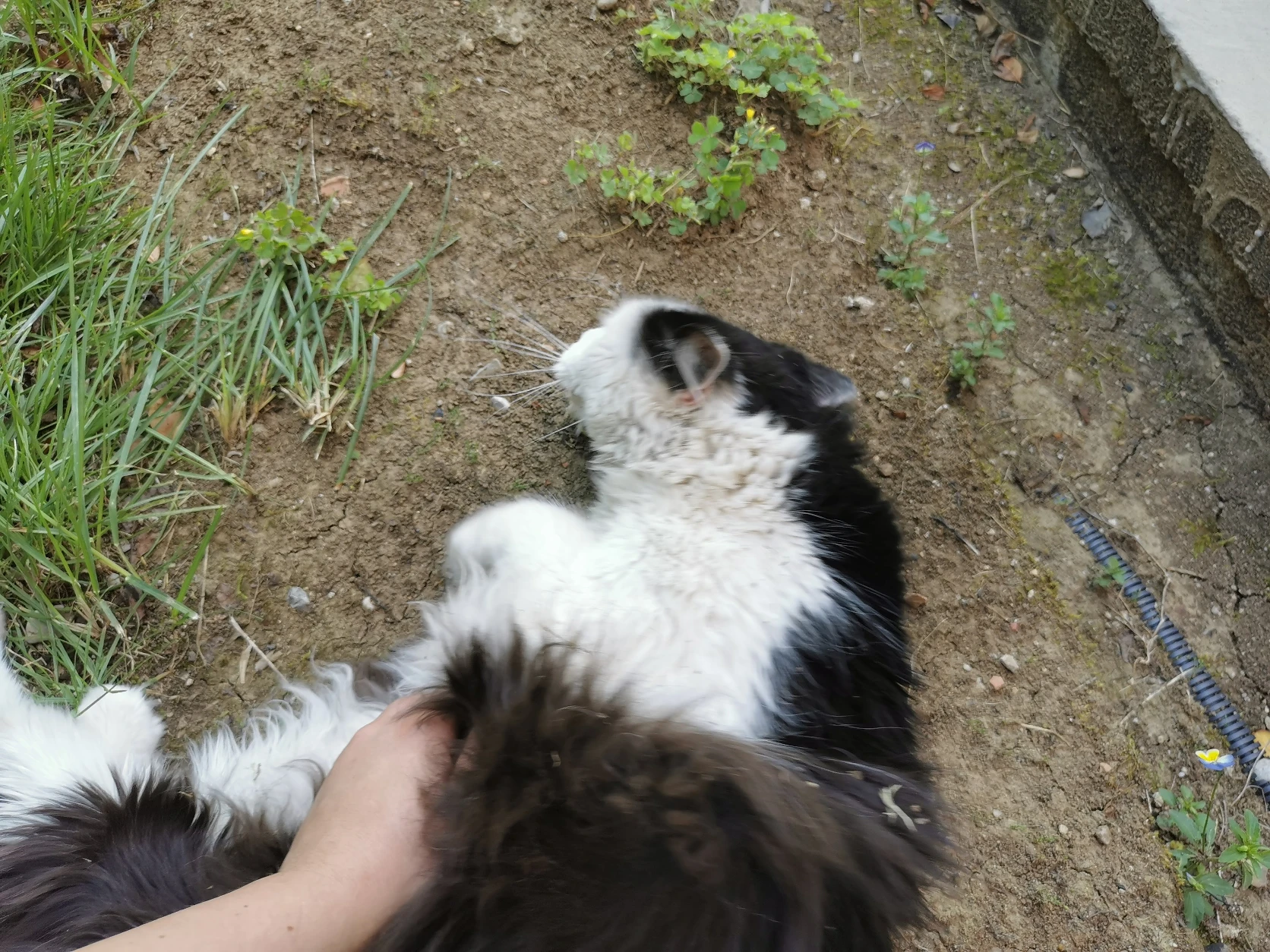 image-7