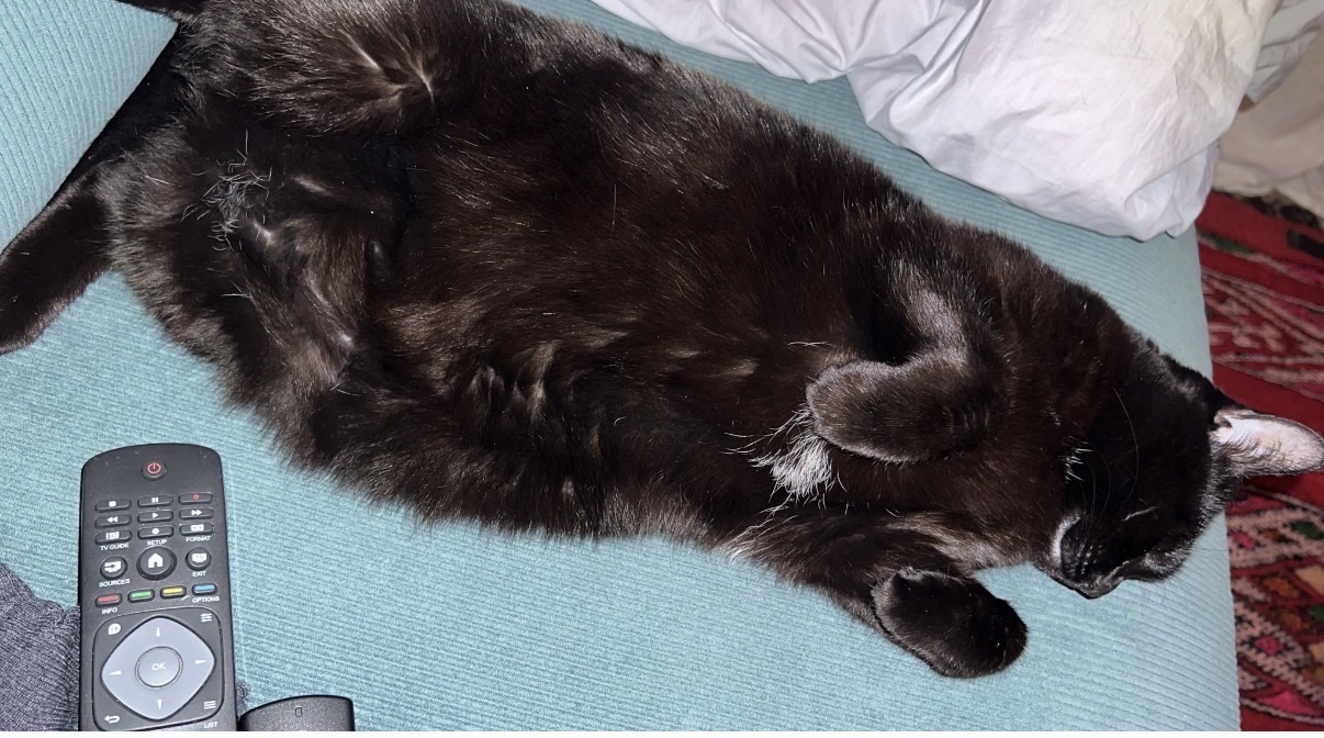 image-6