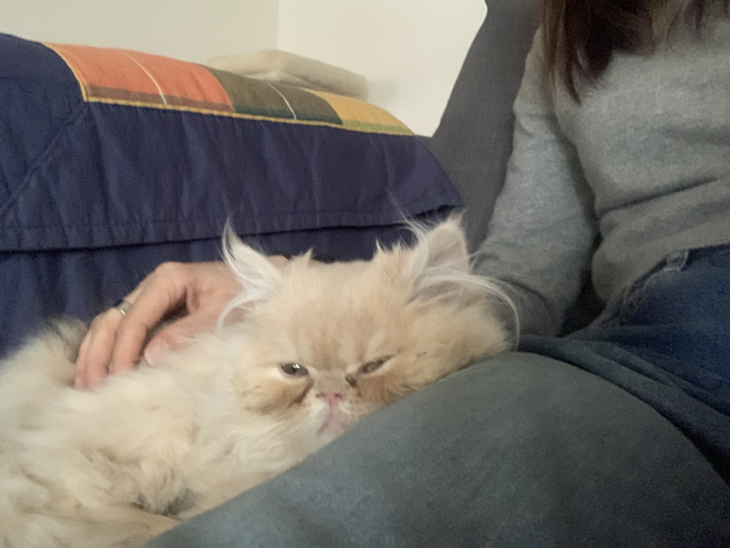 image-5
