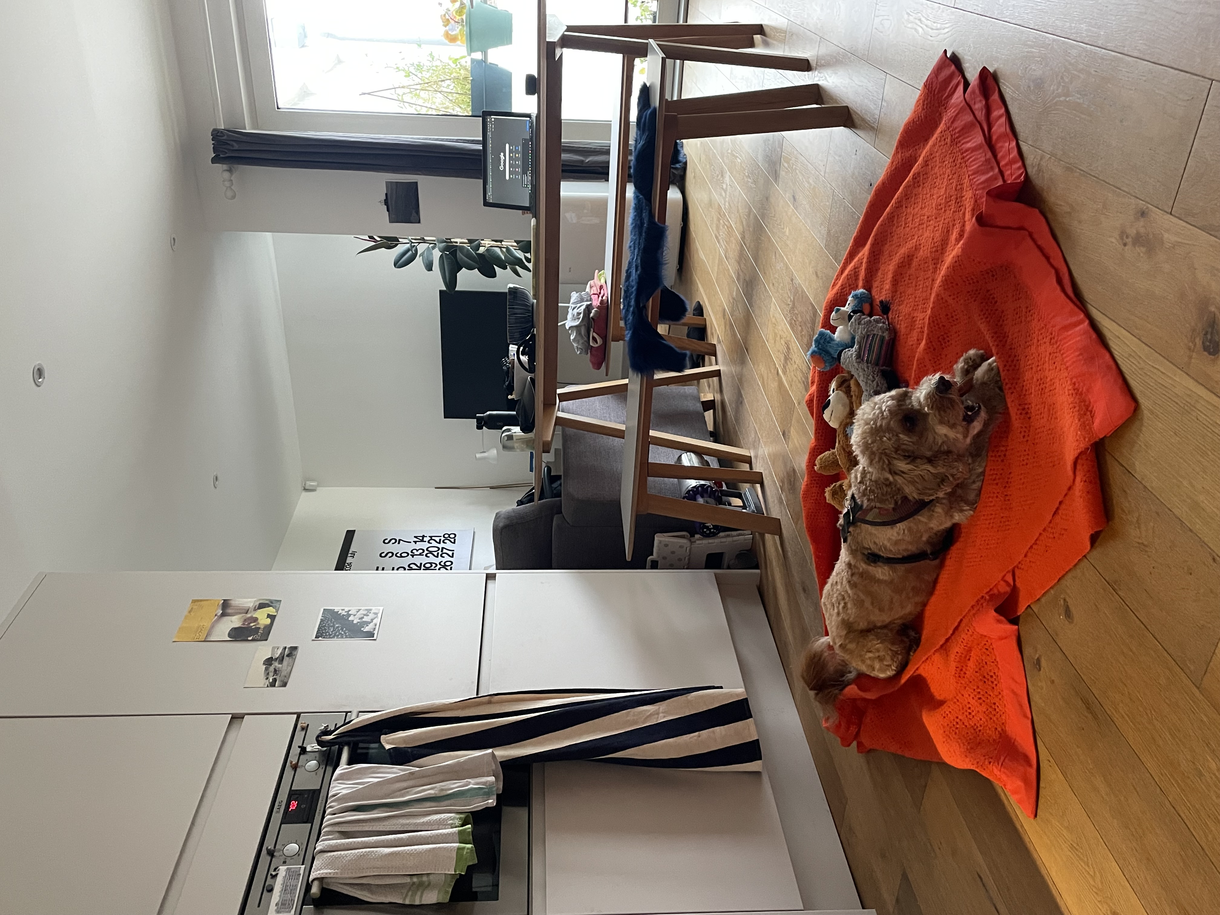 image-6