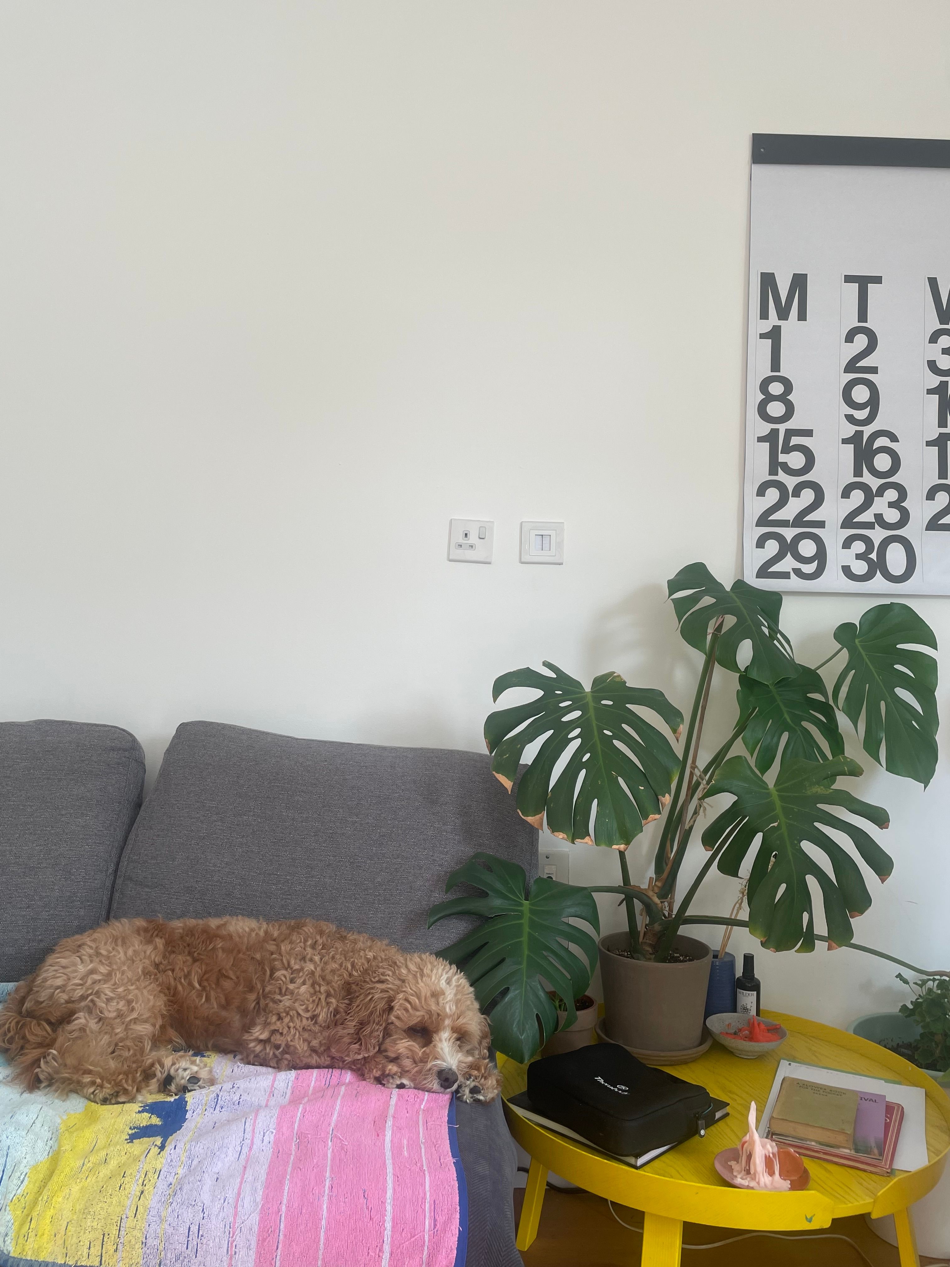 image-10