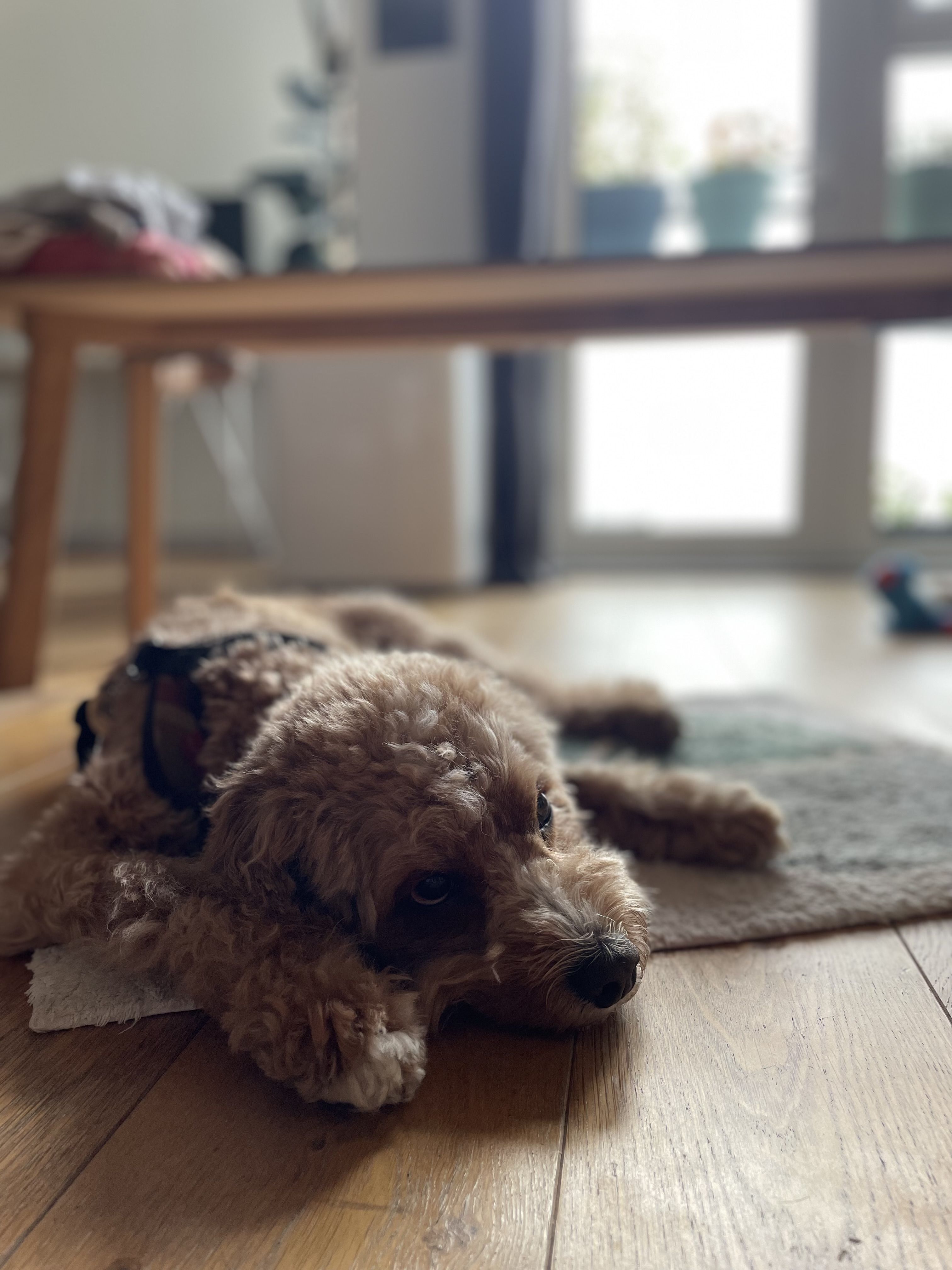 image-15