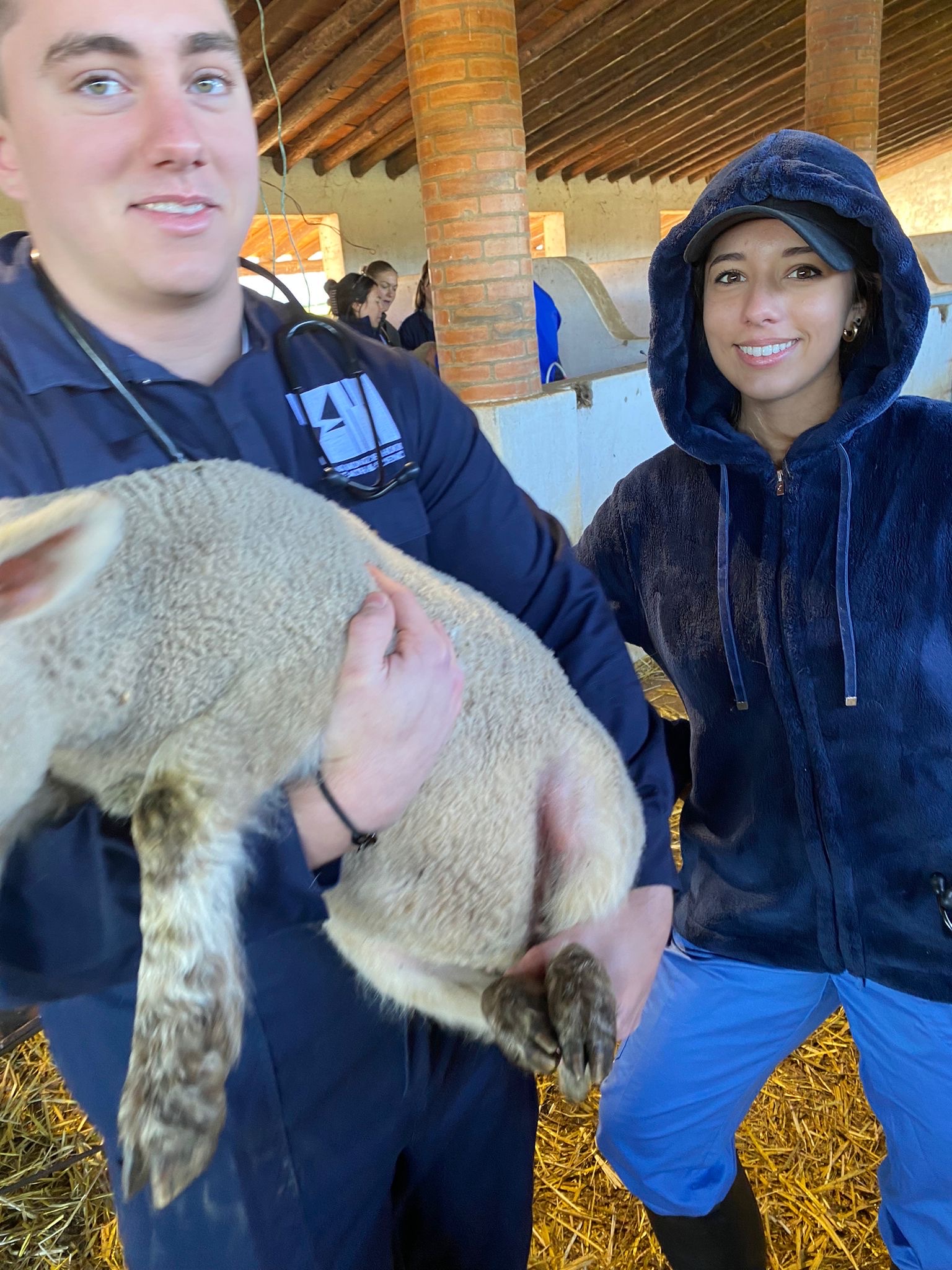 image-5