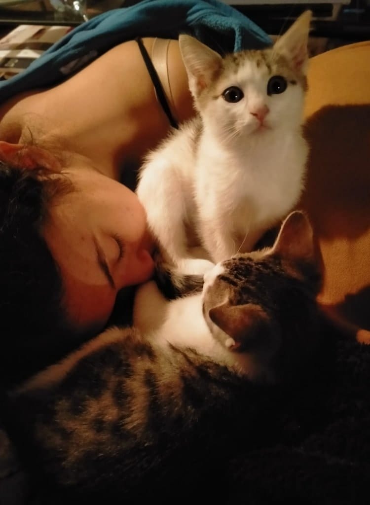 image-7