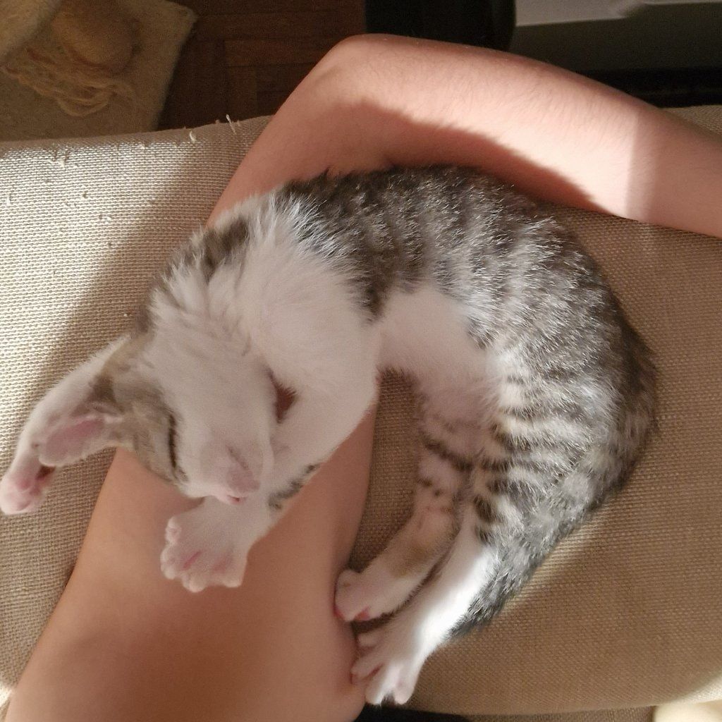Winston (Winnie)