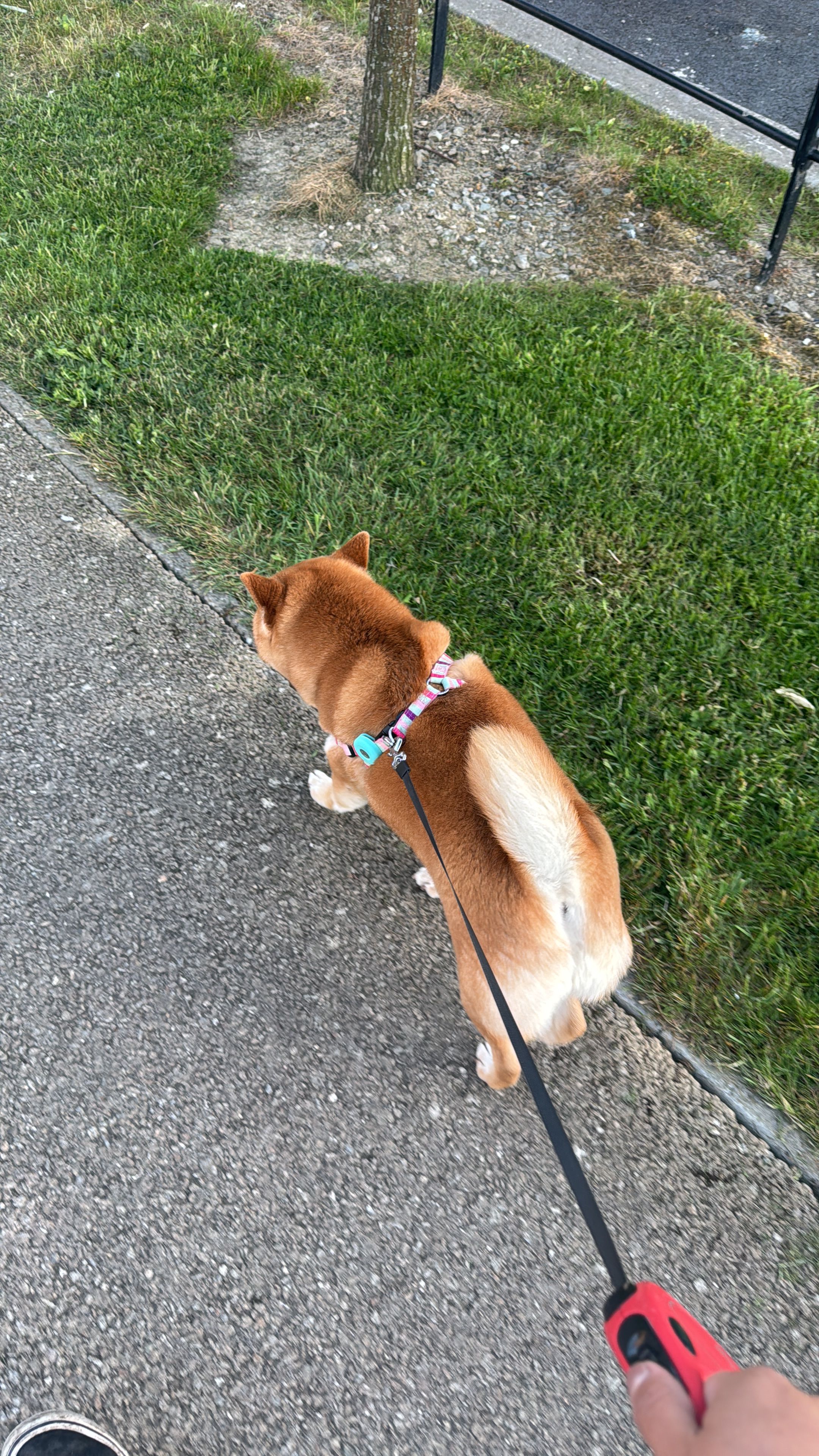 image-6