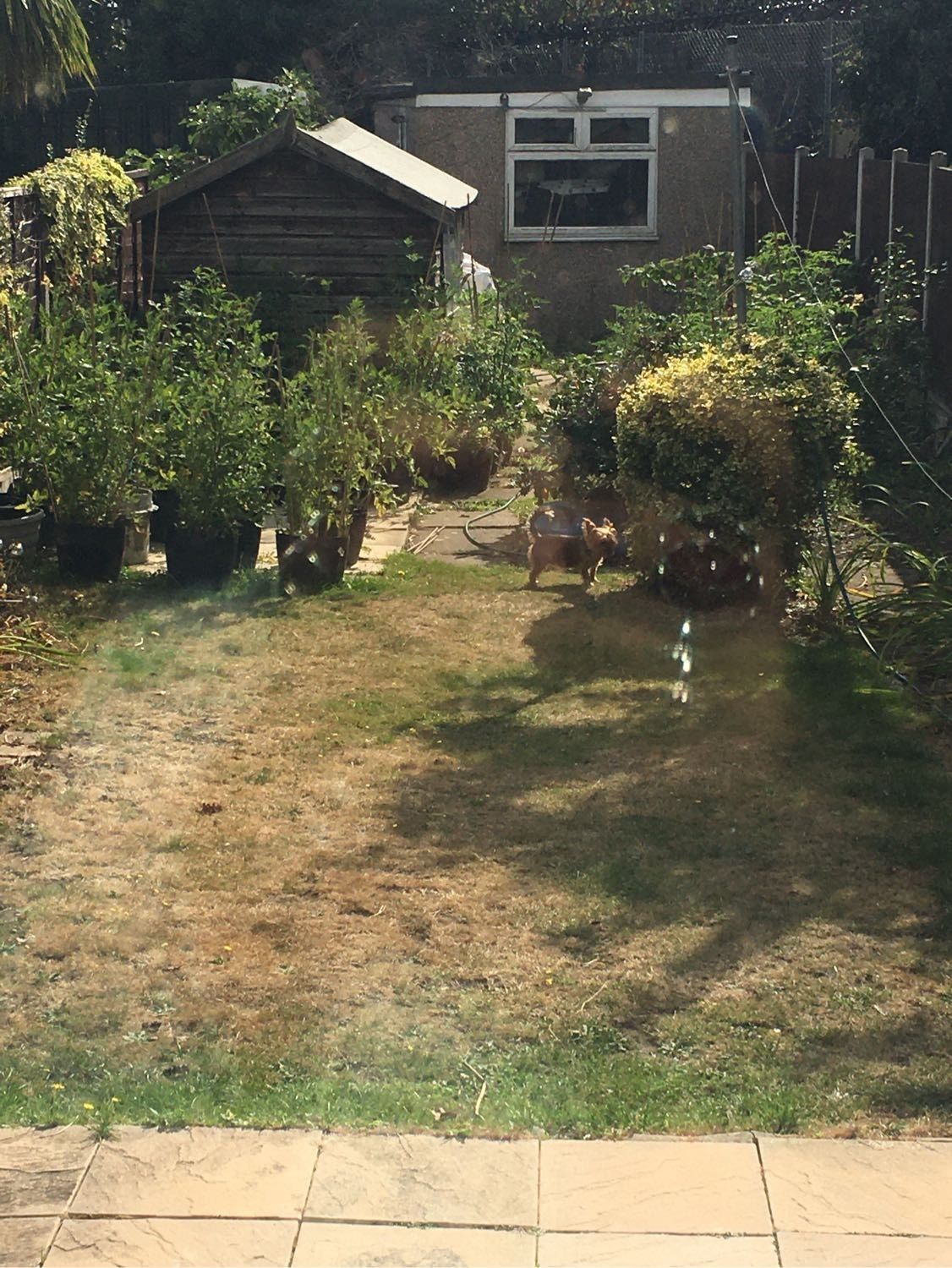 image-7