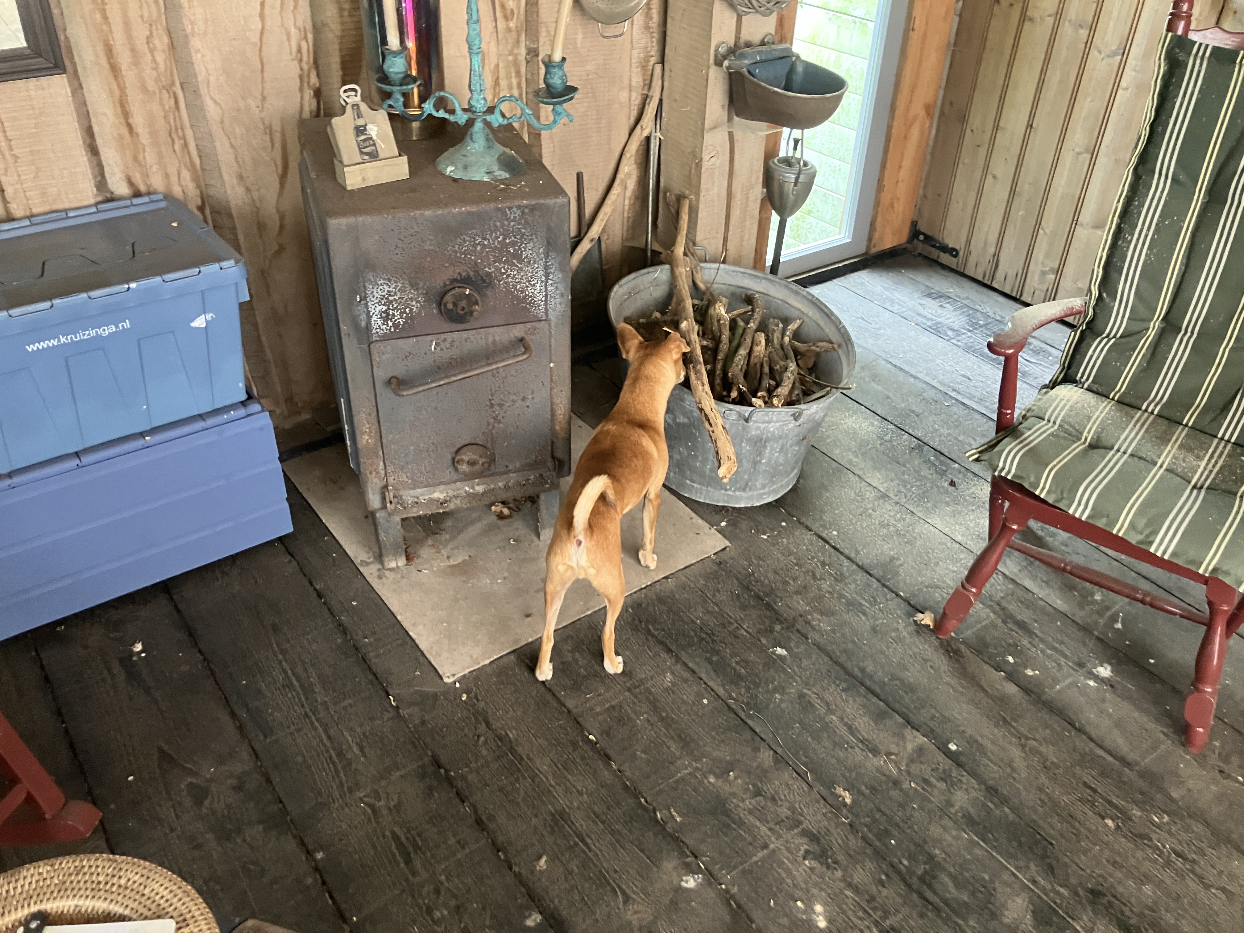 image-17