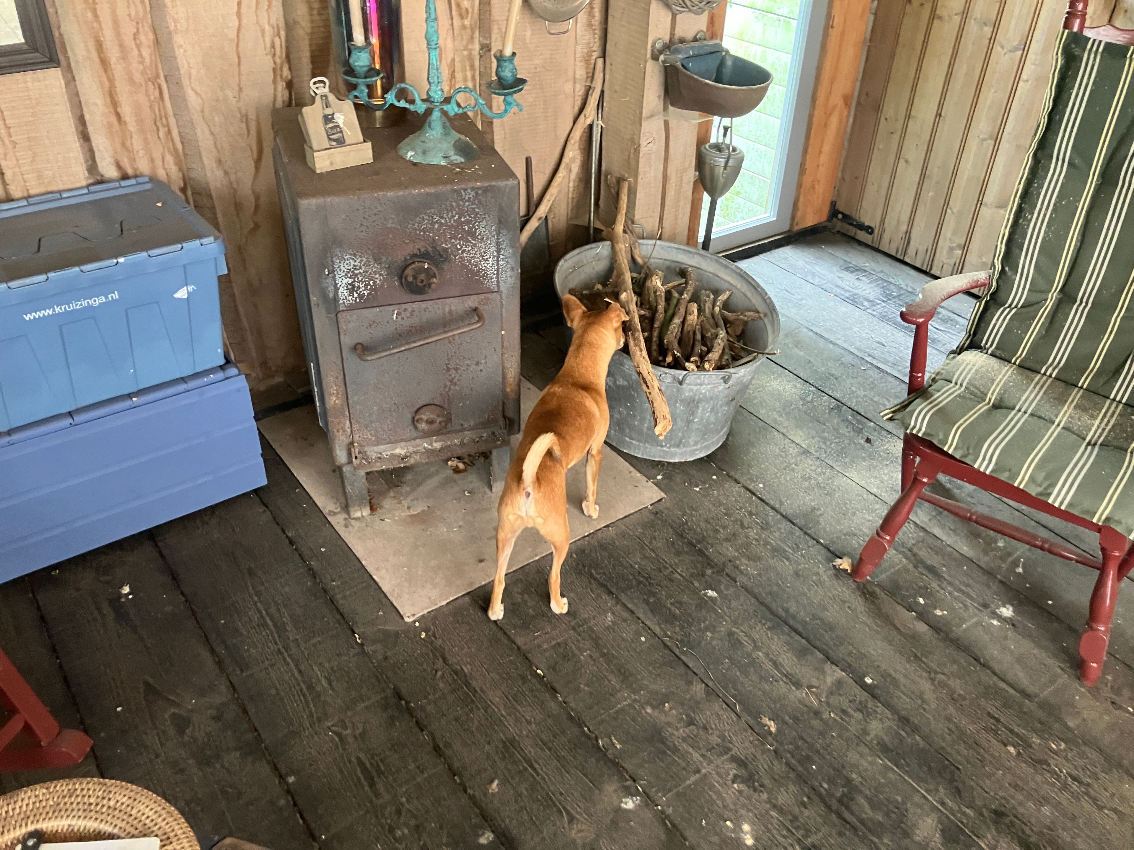 image-17