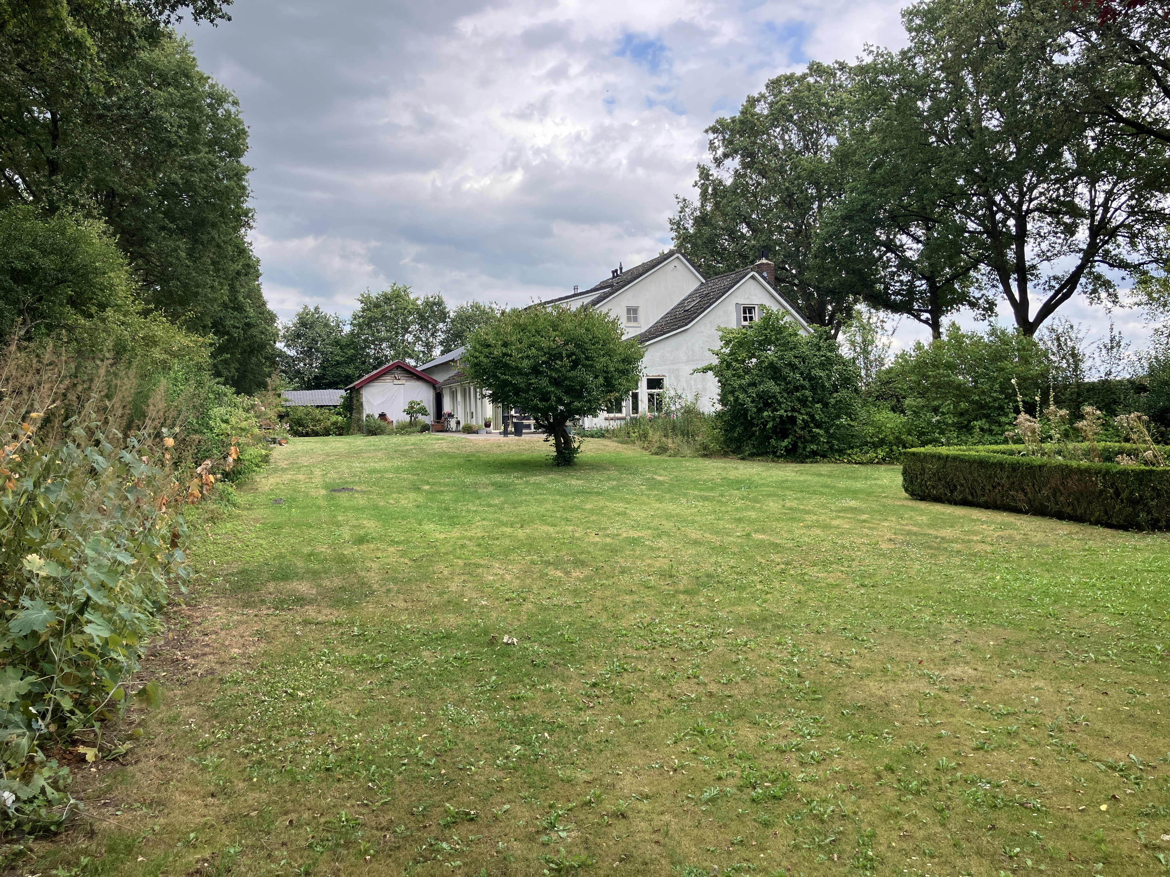 image-8